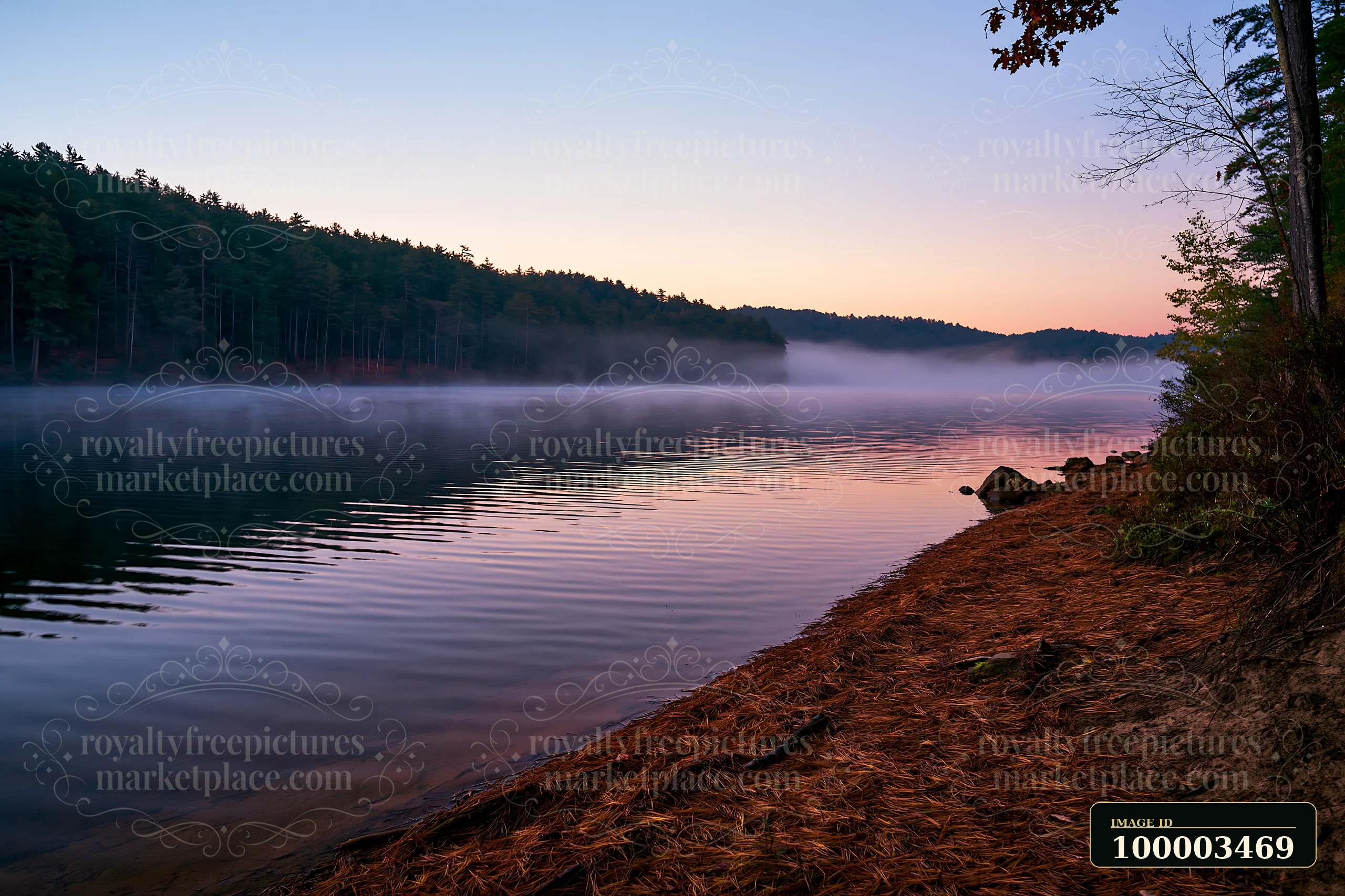 Fog drifting through pine forest mountains creates a serene scene by the lake at dawn.