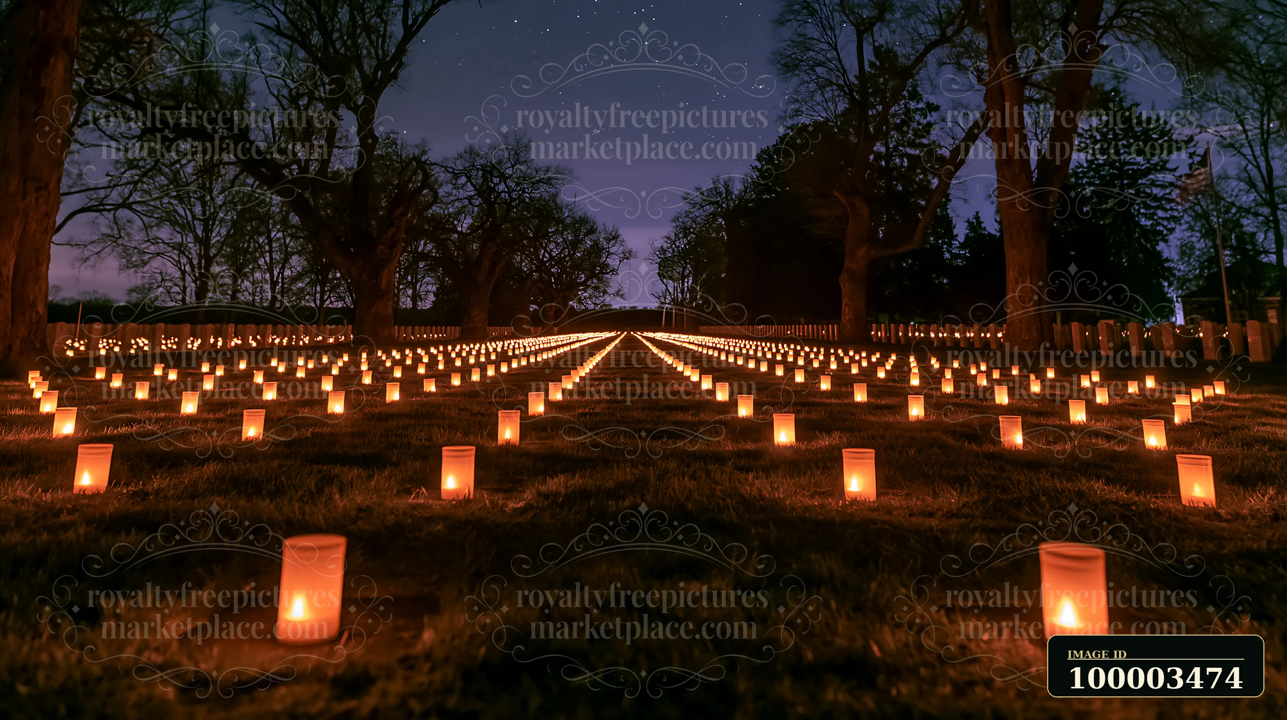 Memorial candles lining military graves under stars create a somber and respectful scene.