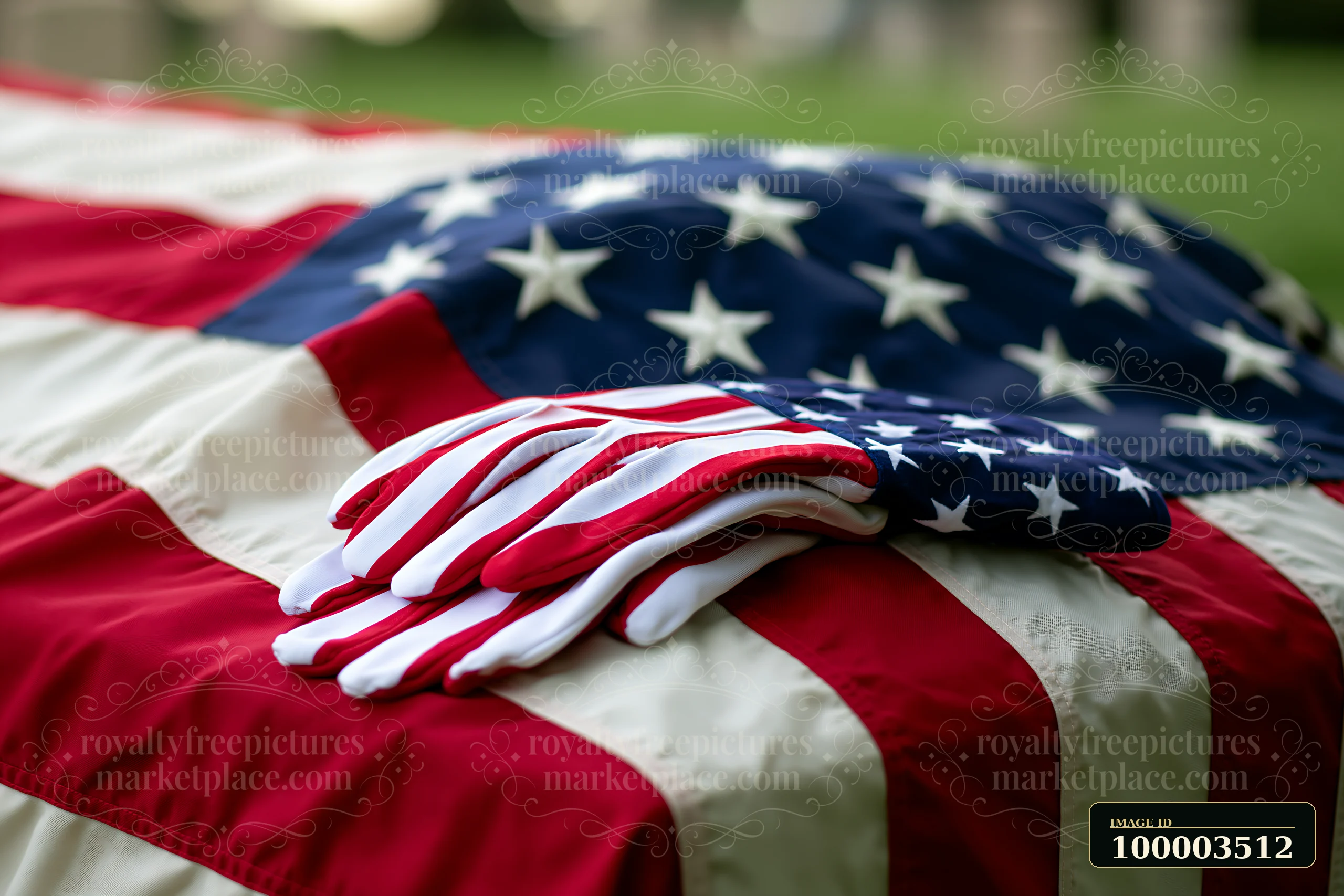 American flag covers a casket in bright daylight with white gloves placed on top.