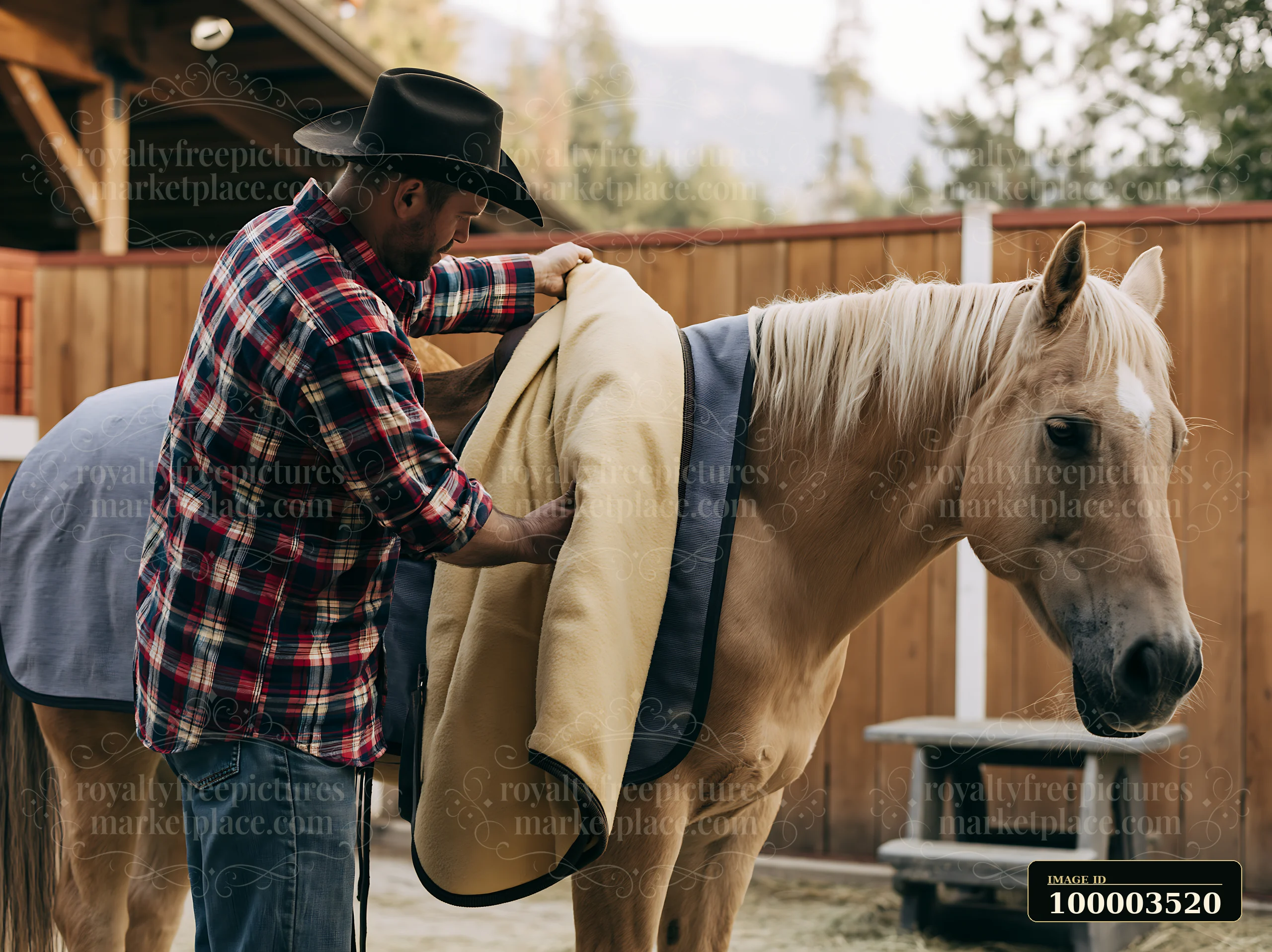 A man saddling a horse at a ranch prepares the animal for riding.
