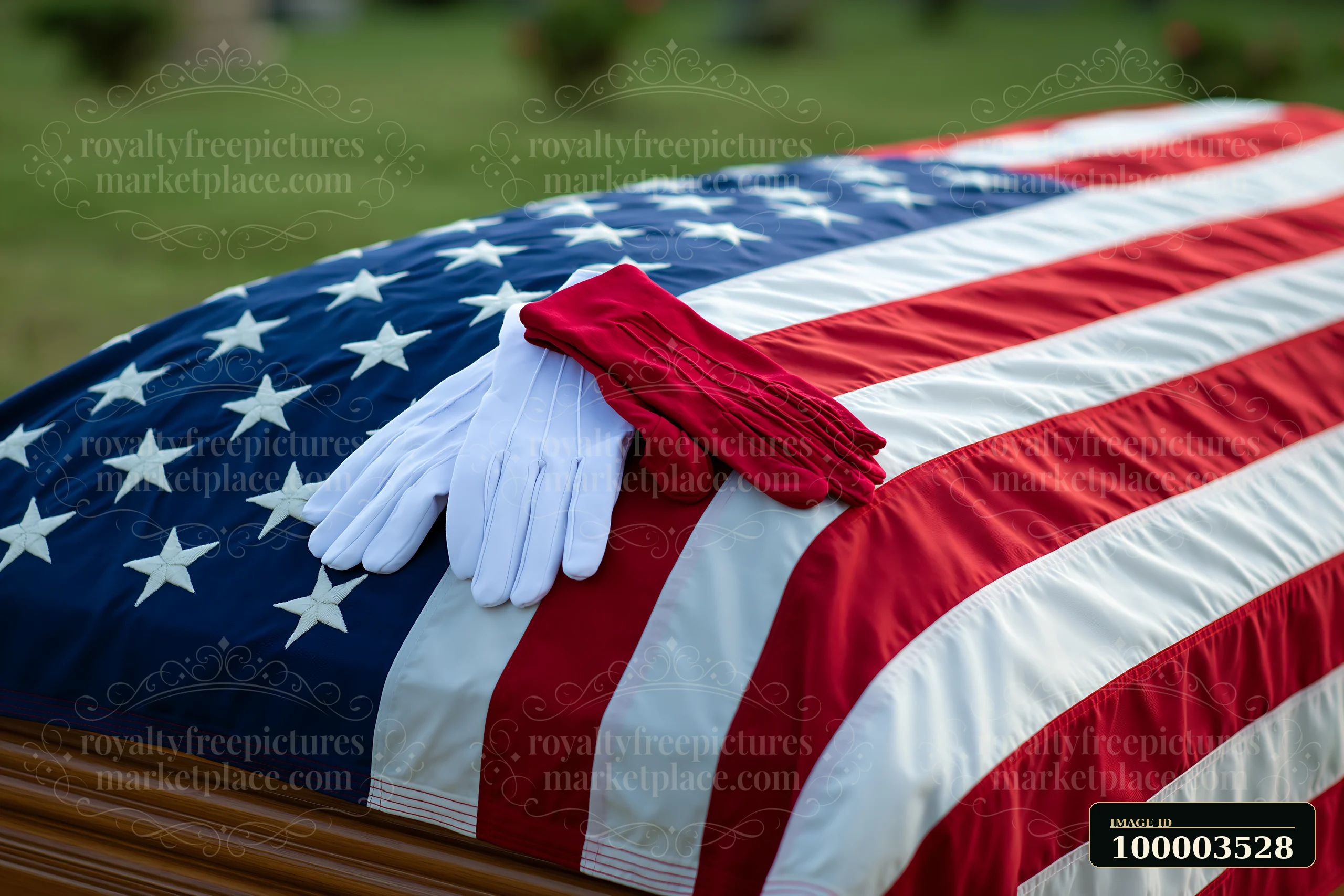 An American flag covers a casket in natural daylight with white gloves resting on top.