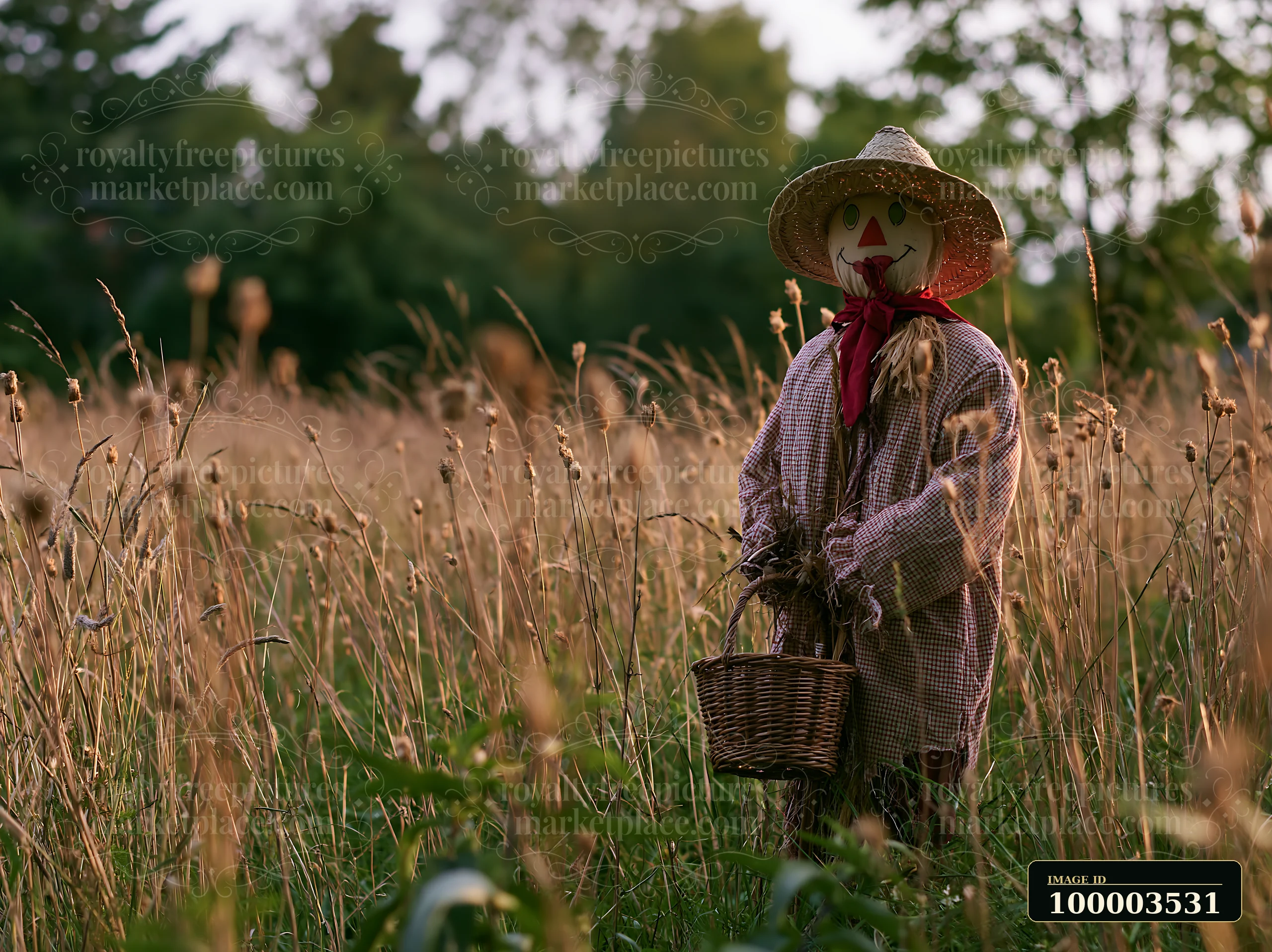 A scarecrow in a rural meadow holds a basket while standing among golden grass and plants.