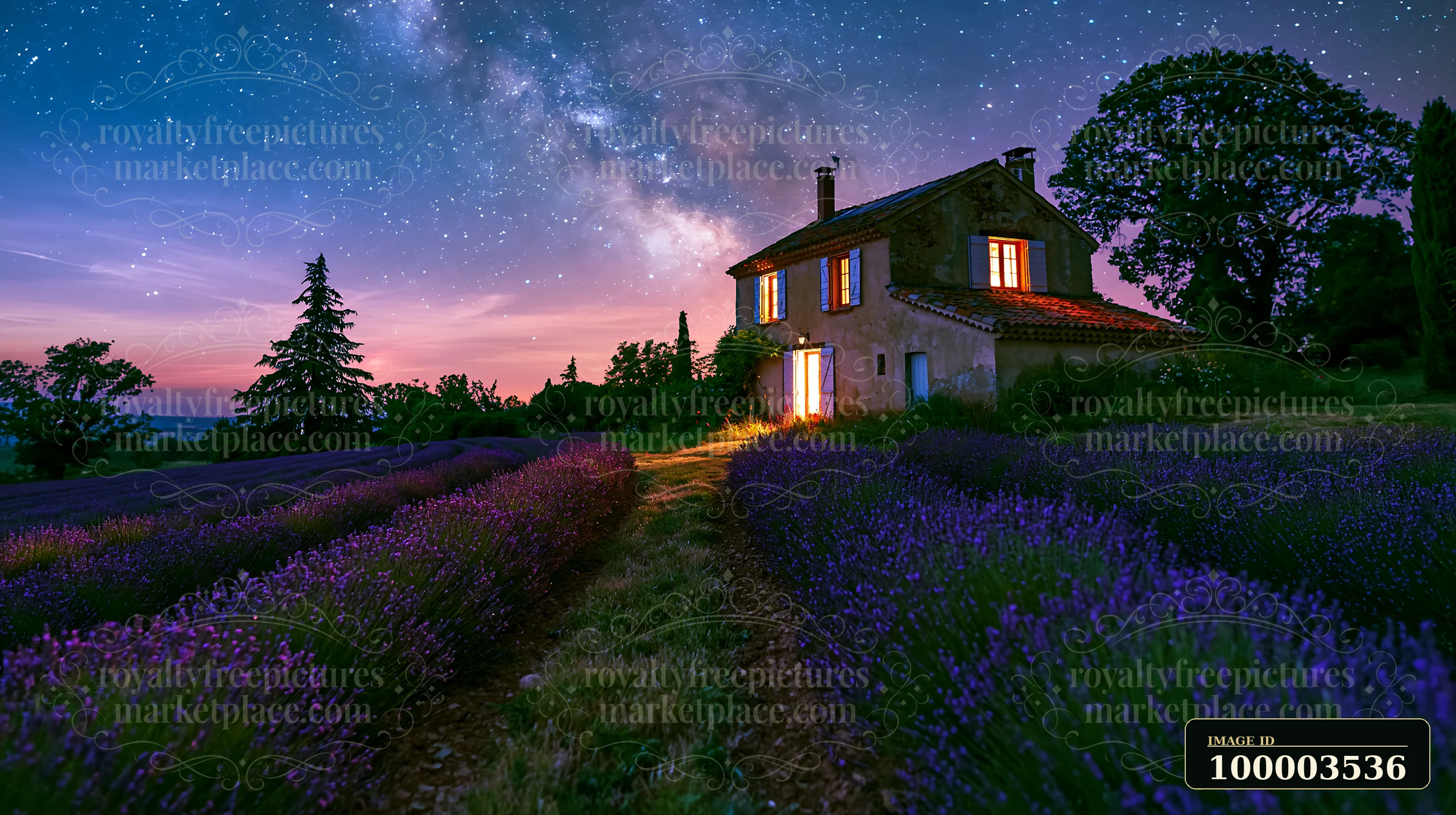 A country house stands among lavender fields as the sky fills with stars.