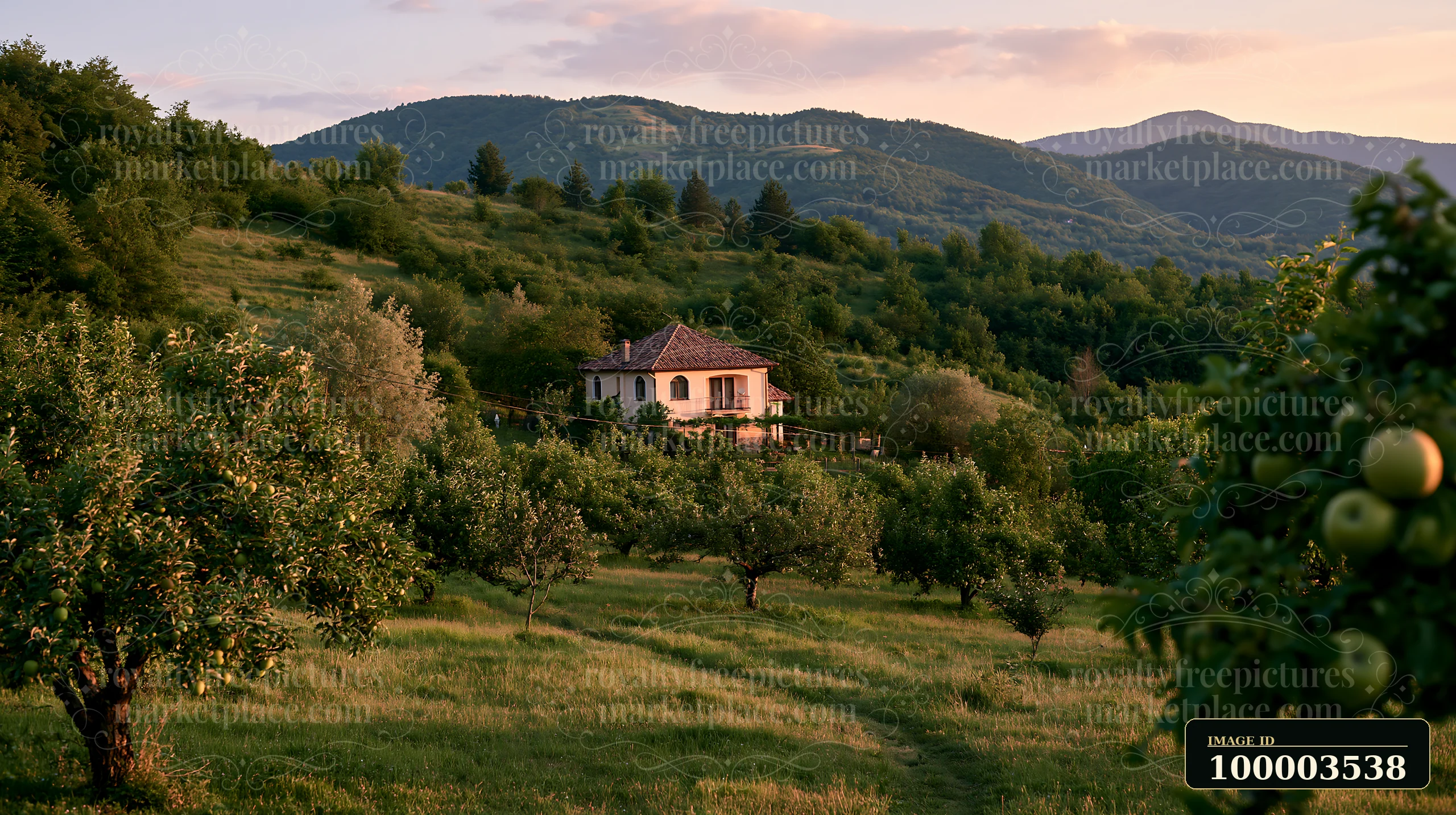 A country house sits among fruit trees on rolling hills with mountains in the background.