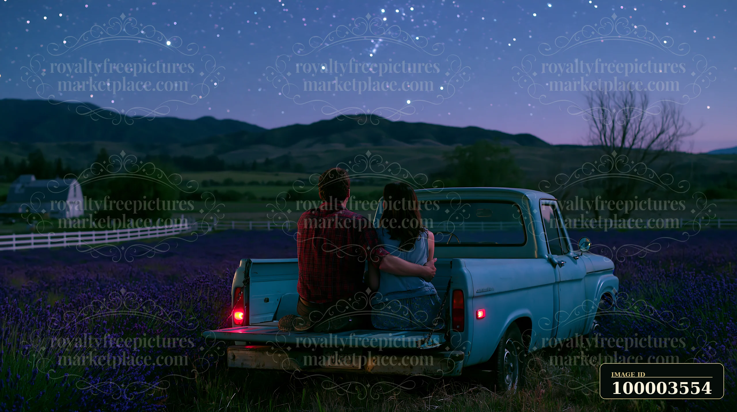 A couple sits in the back of an old blue truck, watching the sky filled with stars above a lavender field.