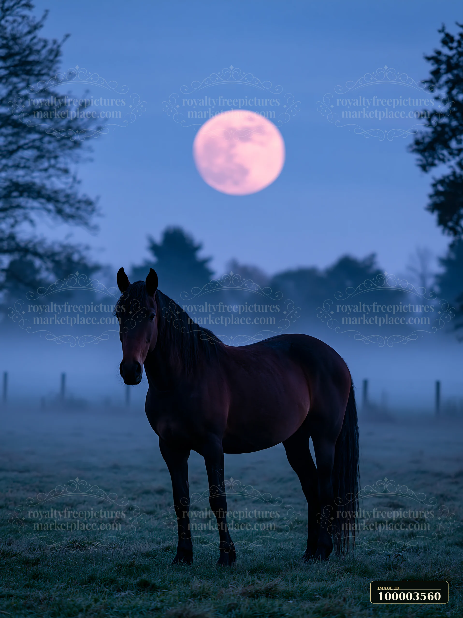 A horse silhouette stands in a foggy field beneath a full moon.