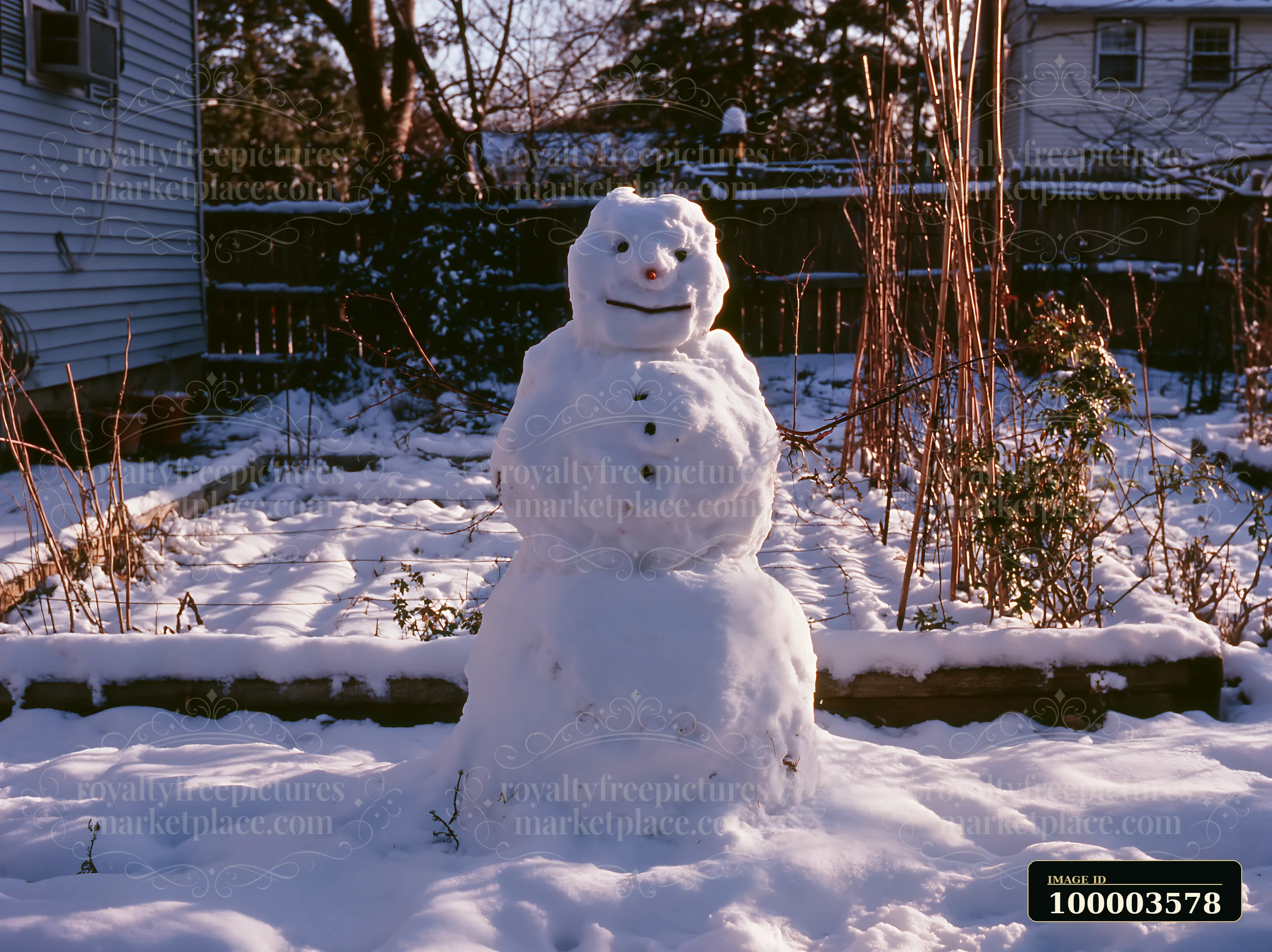 A snowman in a snowy backyard is surrounded by patches of snow and plants.