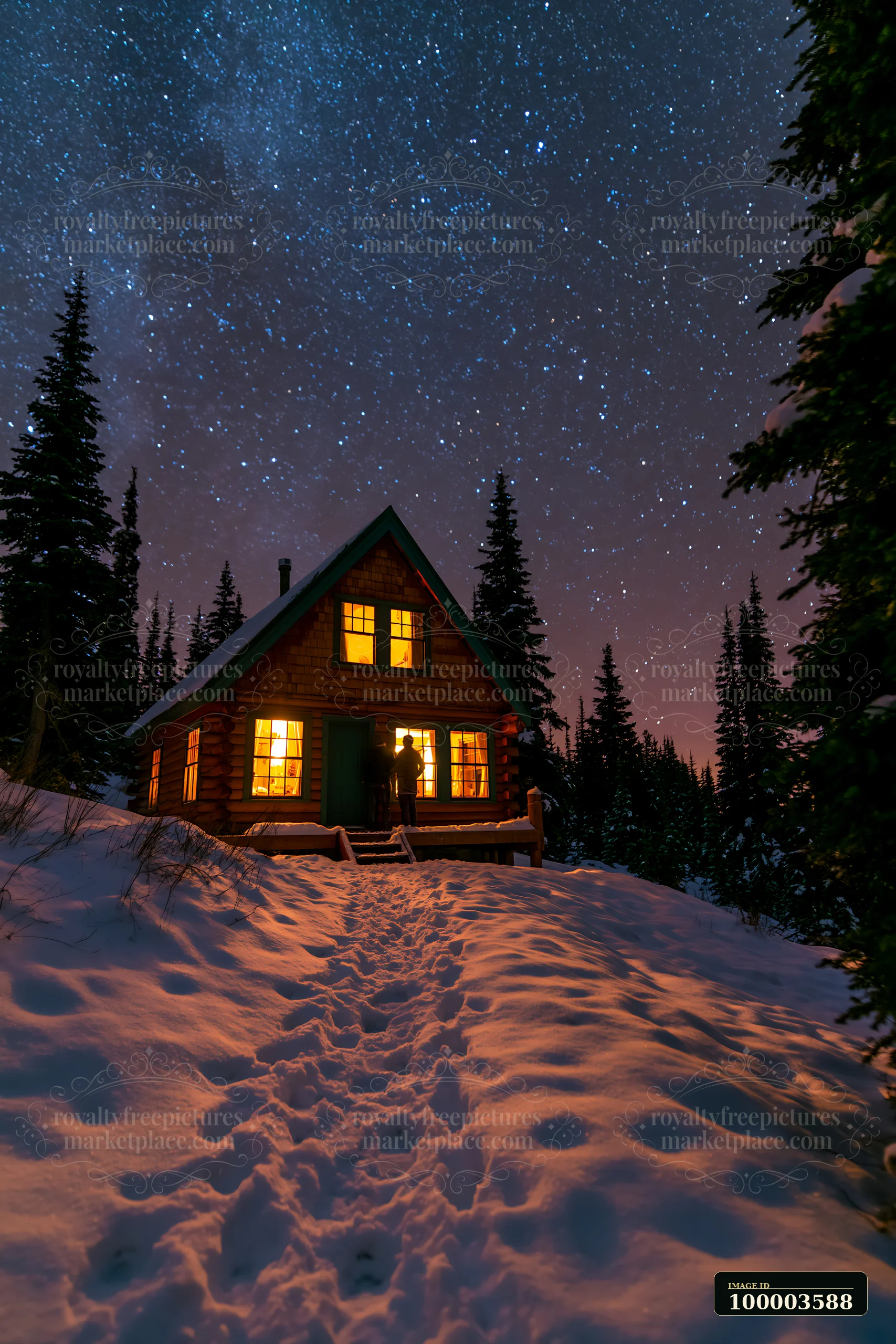 A couple stands outside a mountain cabin with warm lights visible through the windows under a starry sky.