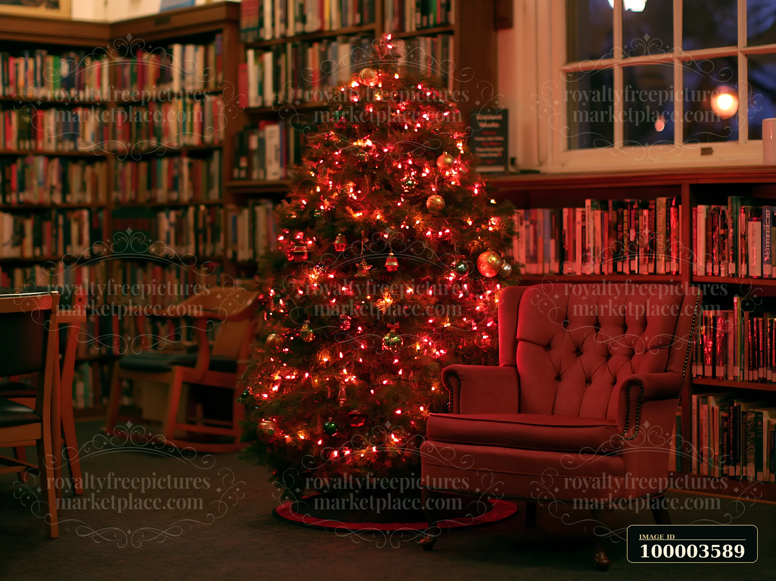 A Christmas tree under ceiling lights stands in a cozy library, surrounded by shelves filled with books.