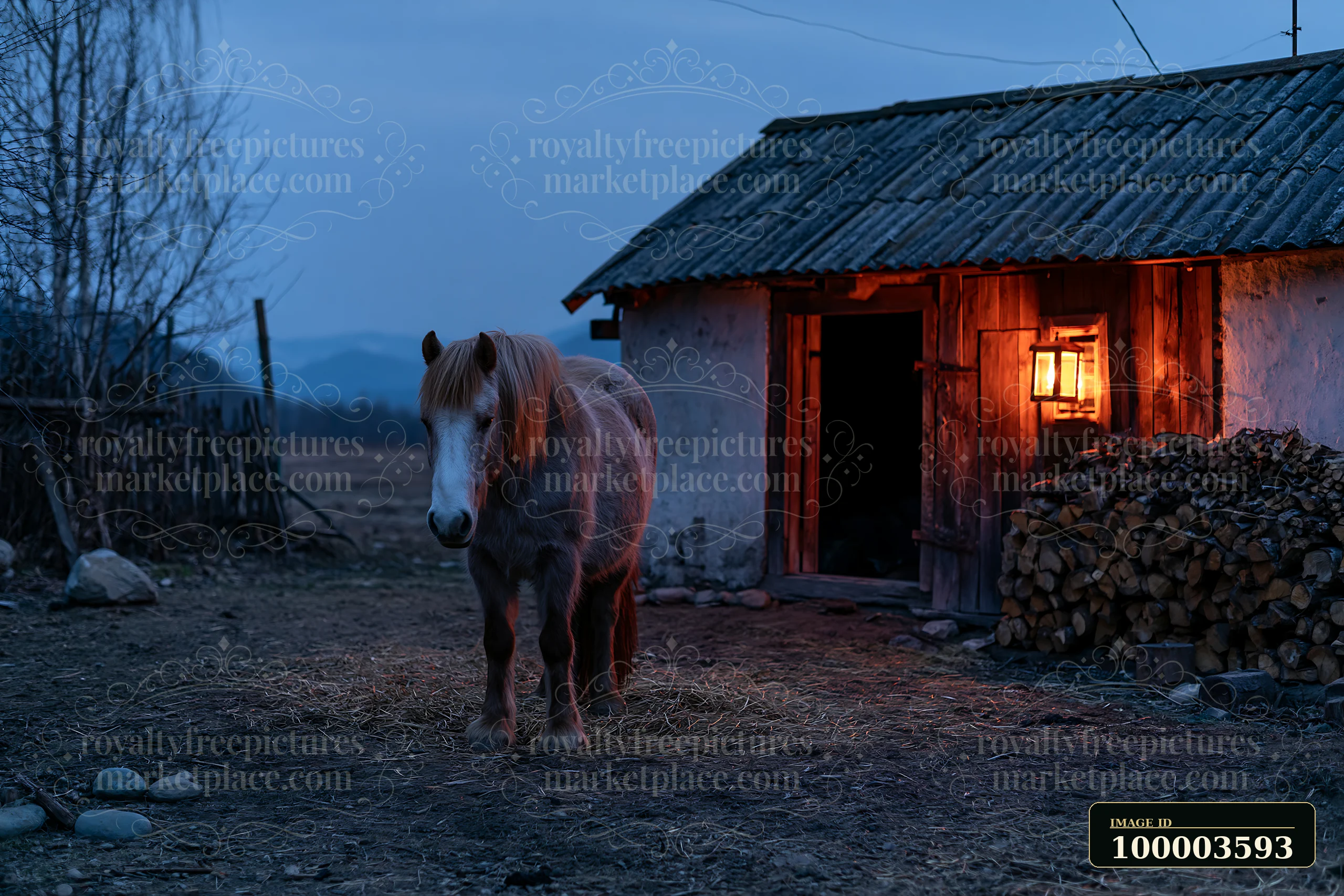 A horse stands outside a stable with warm light from a lantern illuminating the entrance.