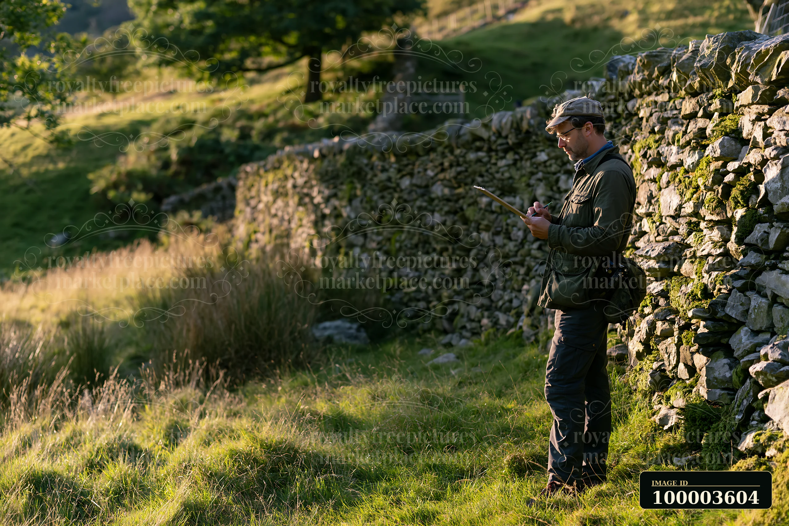 A person stands in a meadow near a stone wall, sketching on paper.