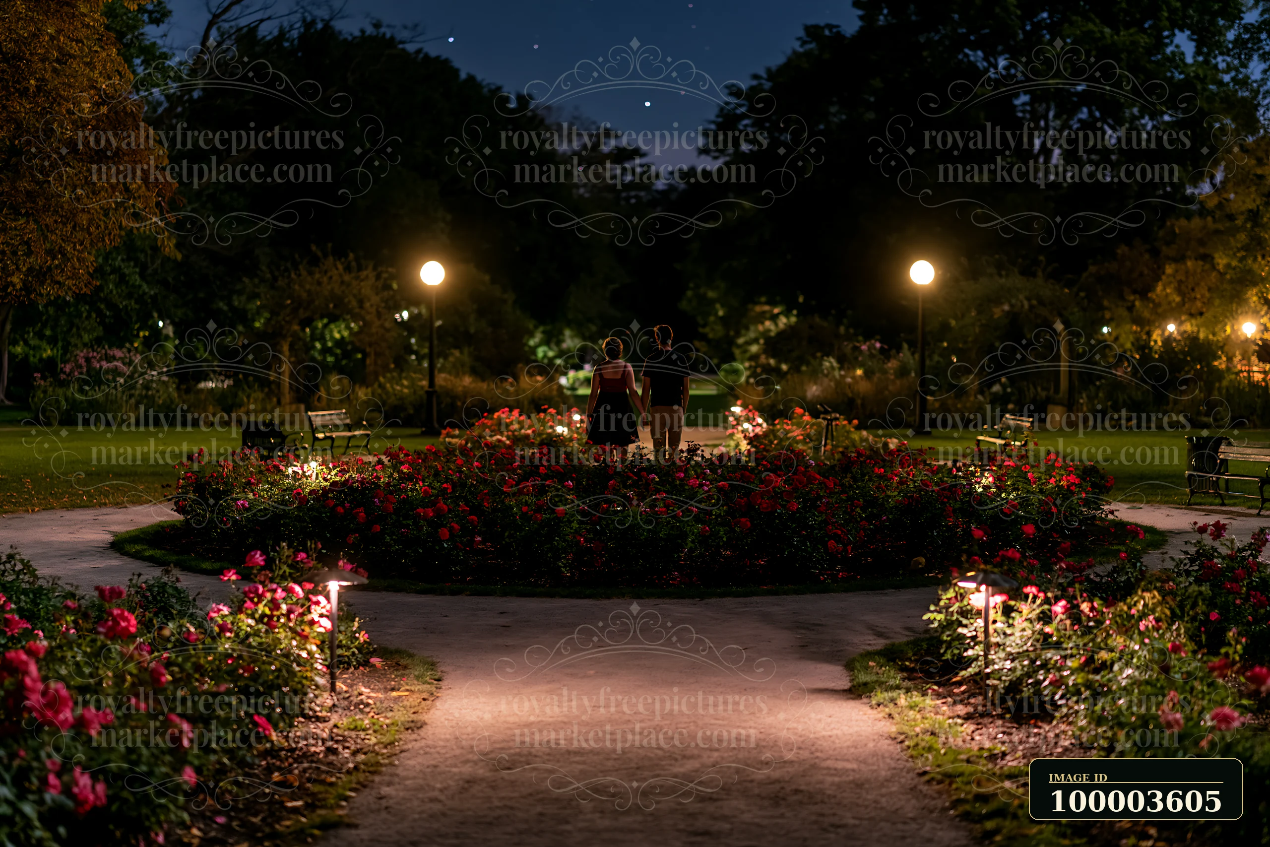 A couple walking away through rose garden under stars at night fills the scene.