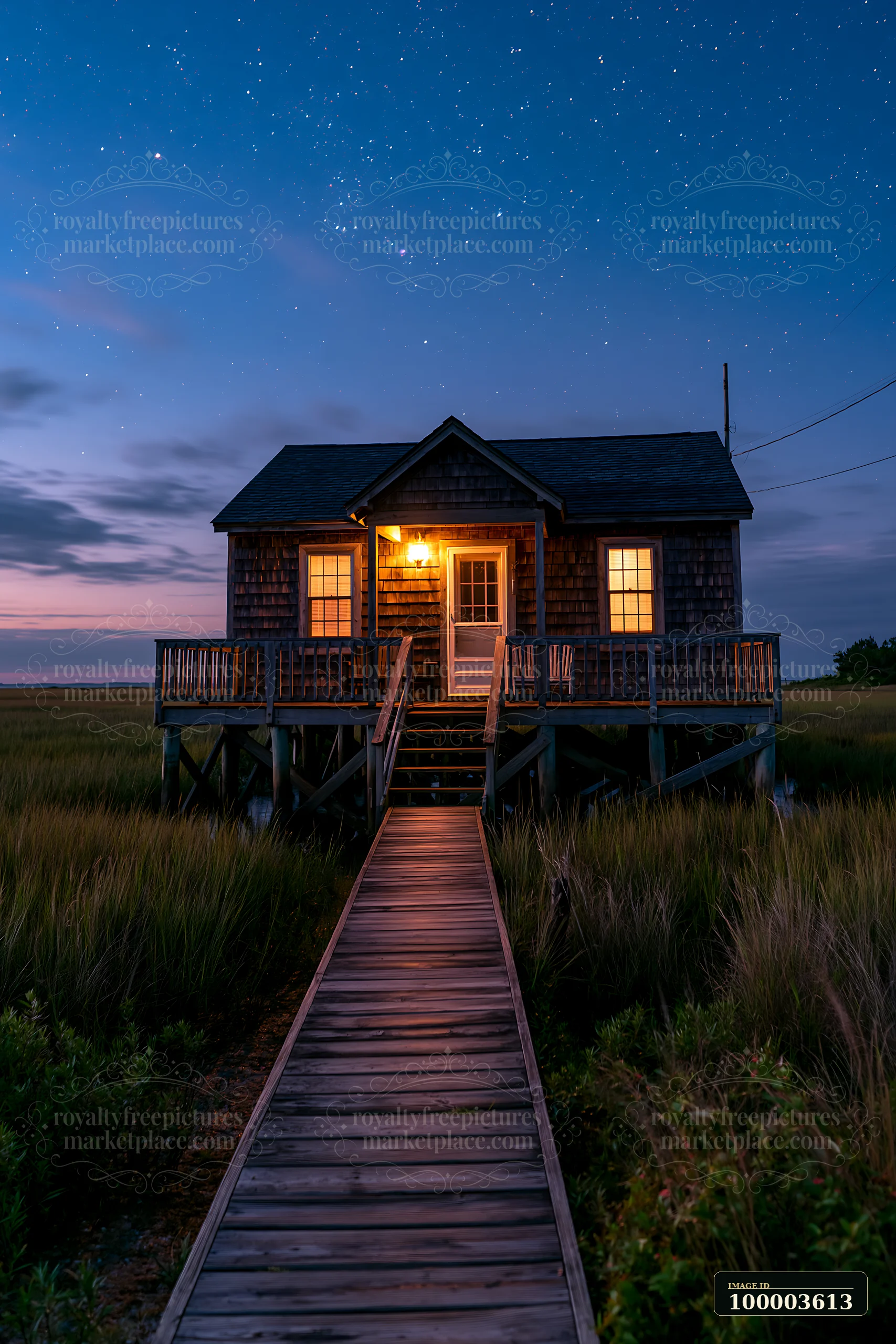 A small house stands on stilts surrounded by grasses, with warm light shining from its windows.