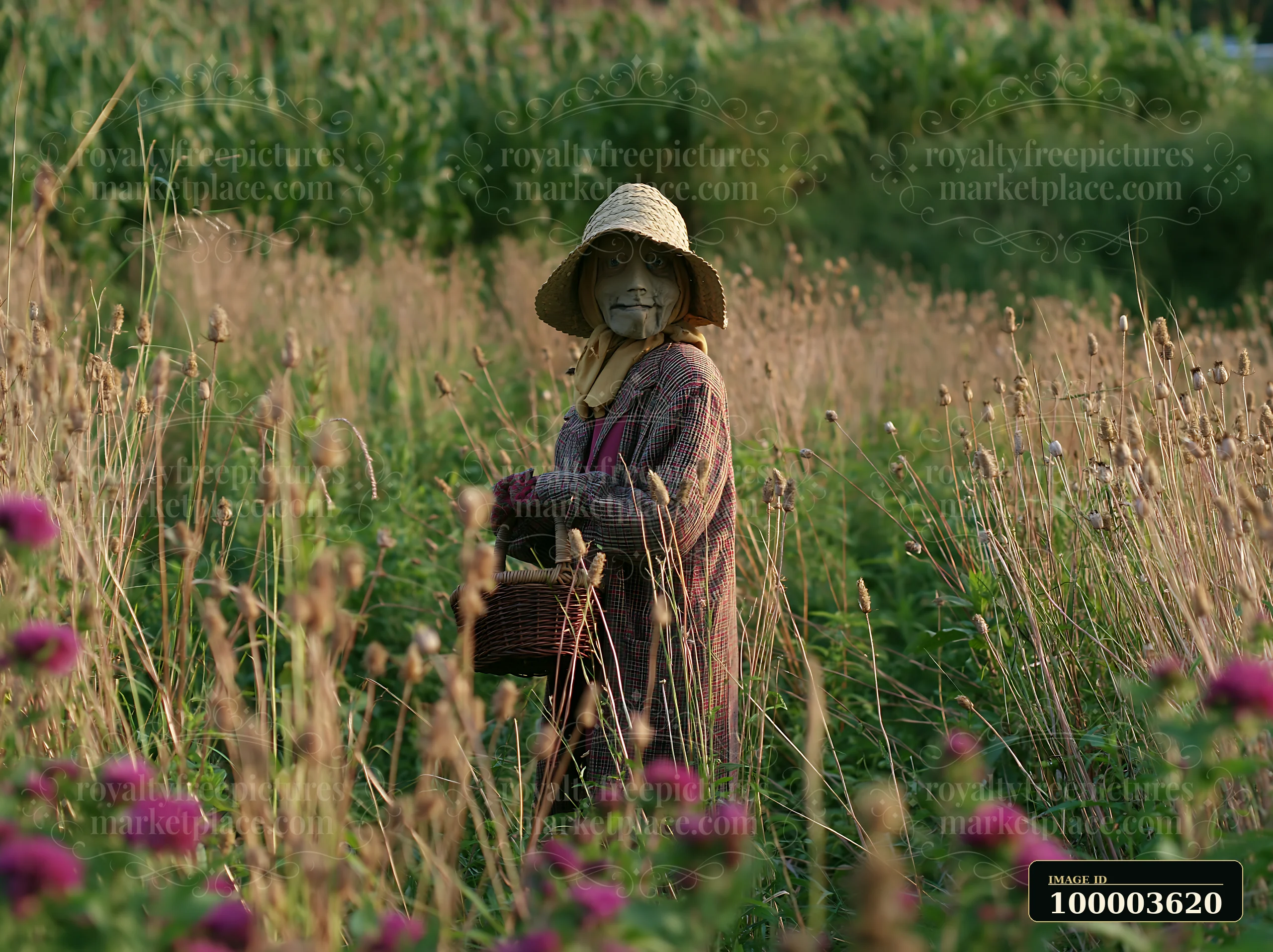 A scarecrow stands among tall grasses and flowers in a rural meadow.