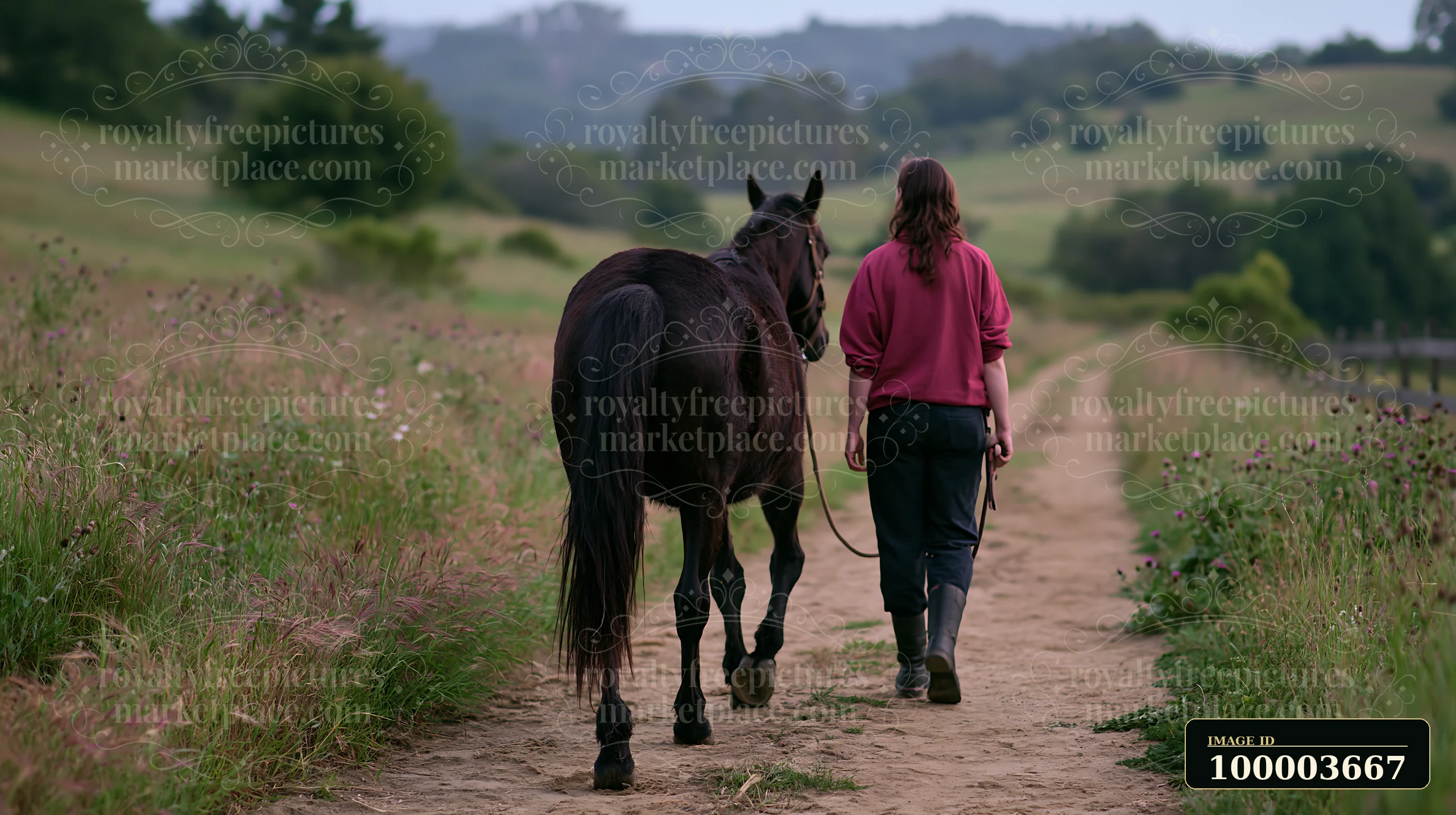 A woman walks along a dirt path beside a therapy horse in a rural setting during early evening.