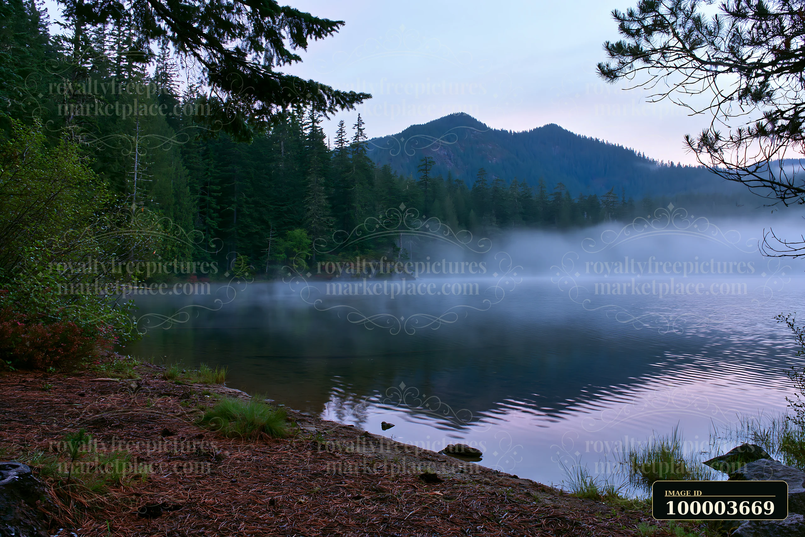 Fog drifts over a mountain lake surrounded by pine forest and tree-covered mountains.