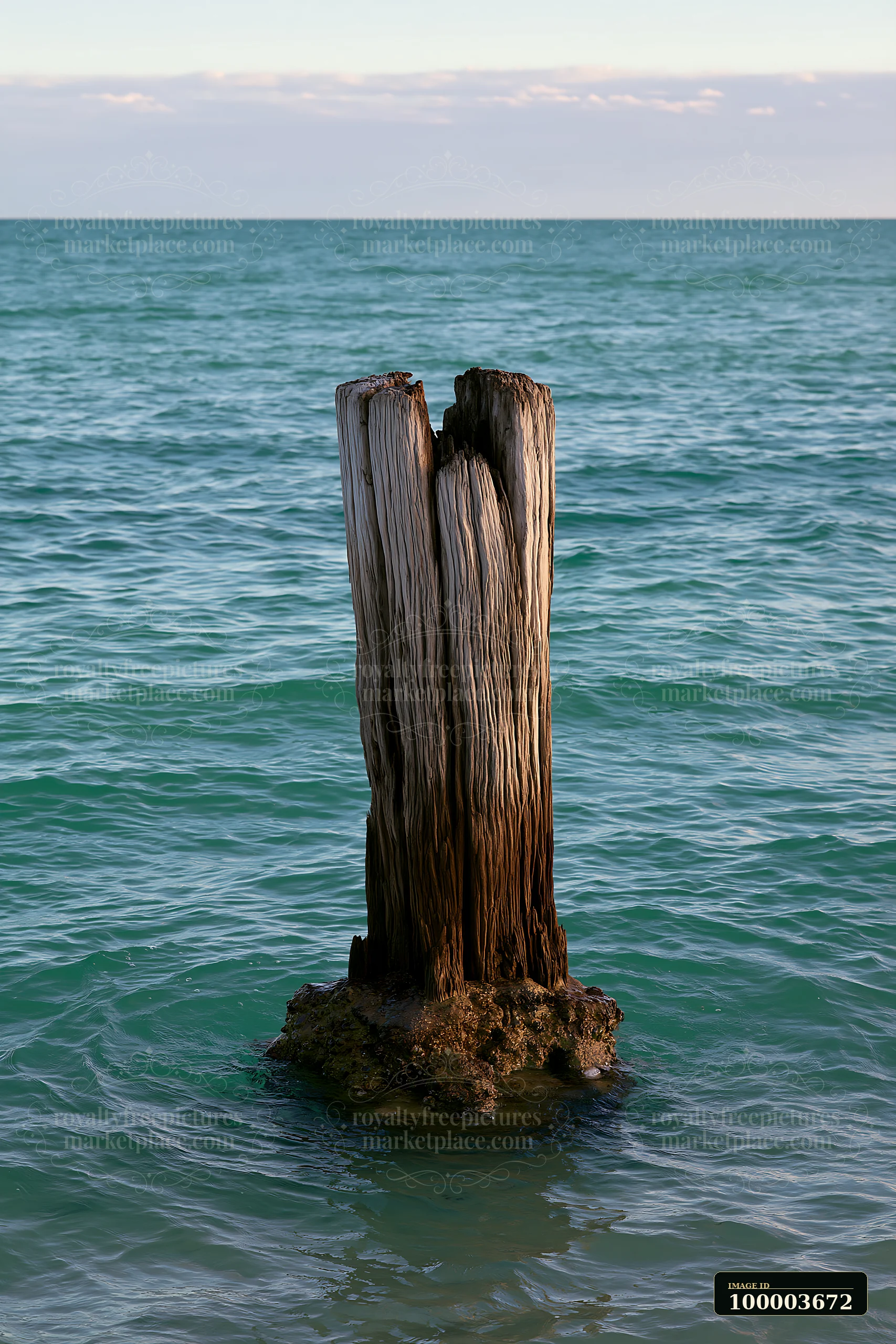 An old wooden piling stands in shallow water with a turquoise horizon in the background.