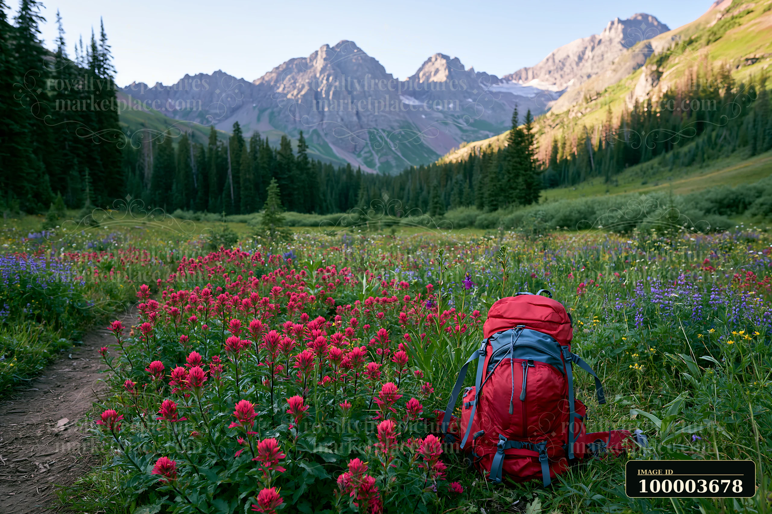 A red backpack rests in a wildflower meadow below rocky peaks.