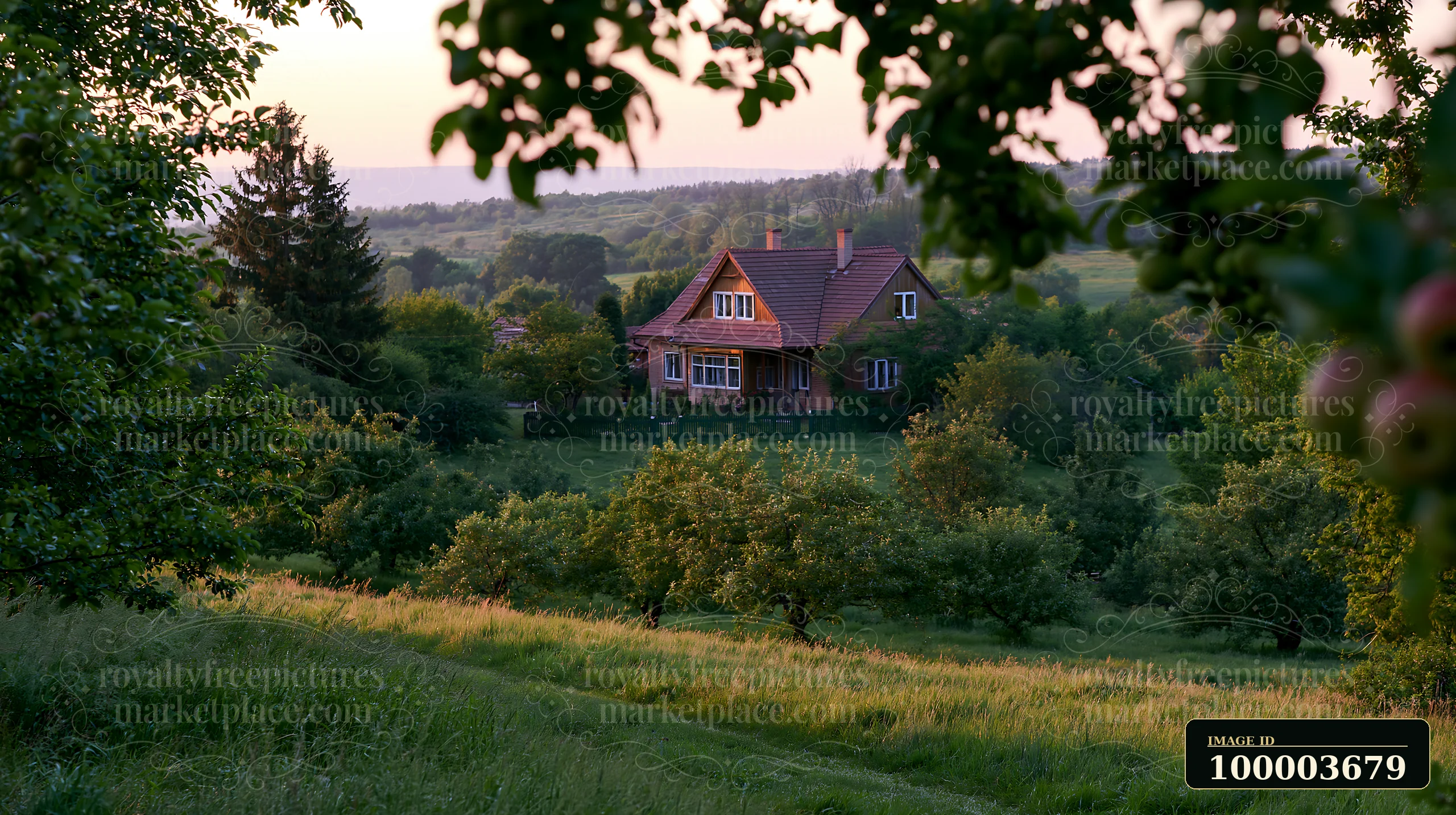 A country house sits surrounded by fruit trees in a green rural area.