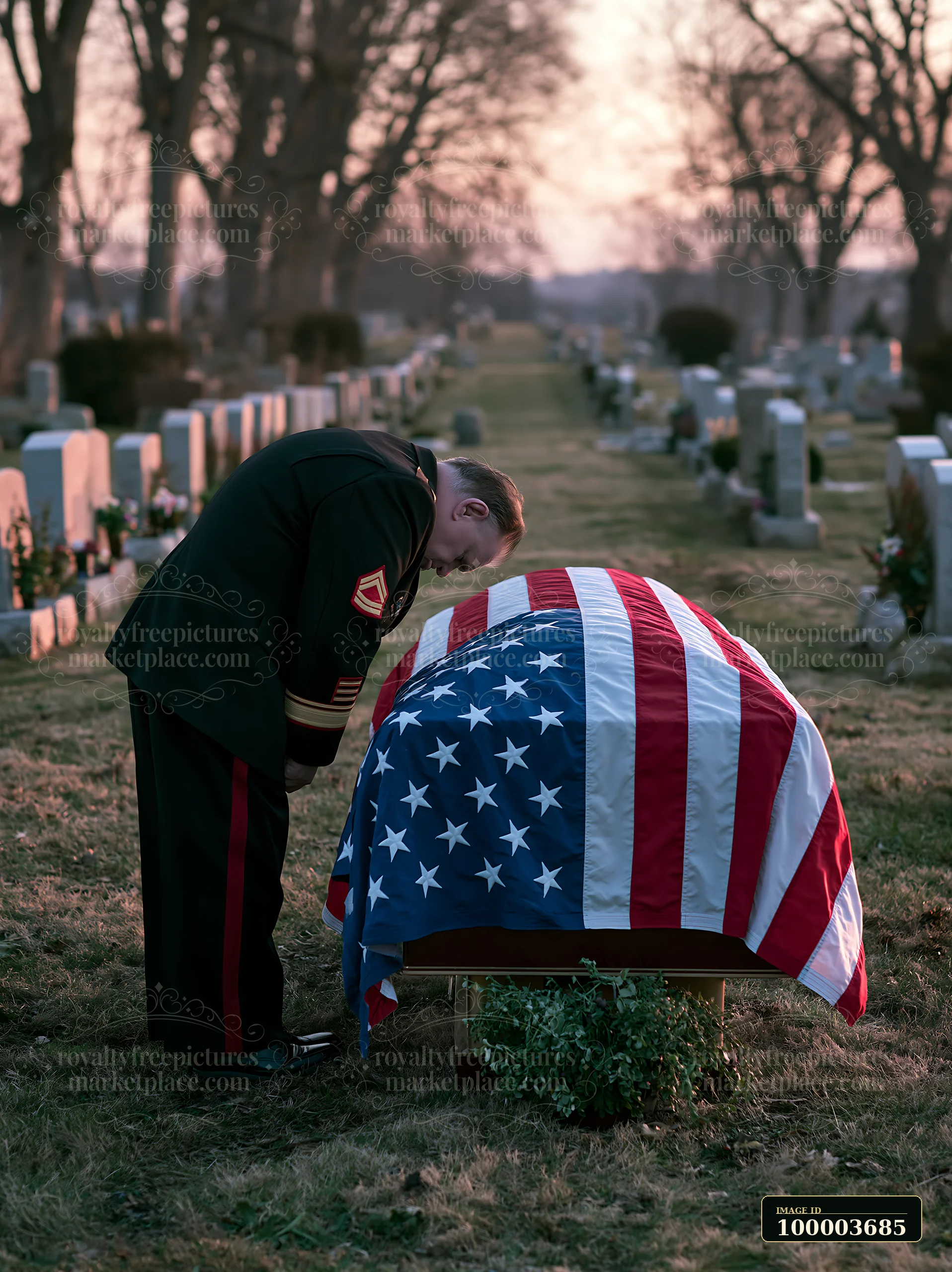 A soldier stands solemnly at a cemetery, bowing beside a coffin draped in an American flag.