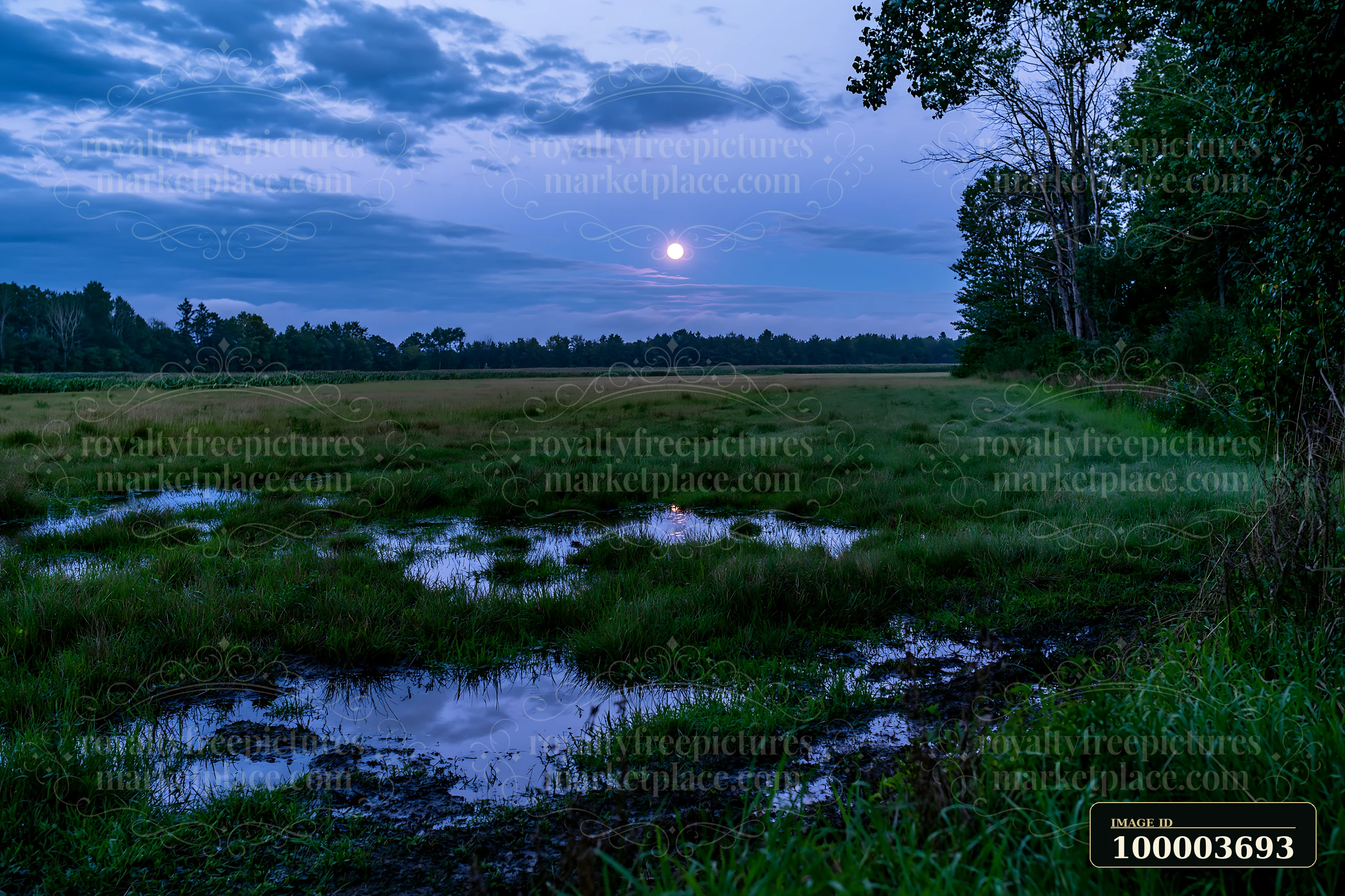 A meadow features a full moon shining down on surrounding water puddles at dusk.