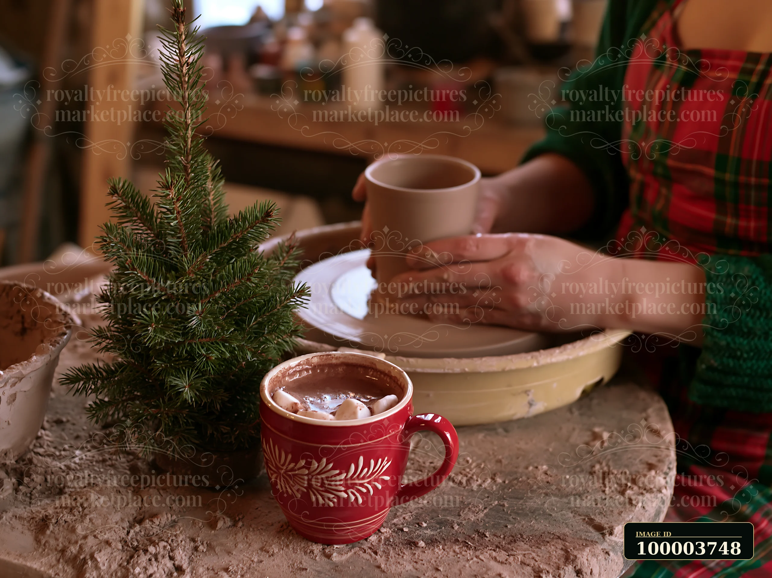 Red mug of cocoa topped with marshmallows sits beside a small evergreen tree as a person holds another mug.