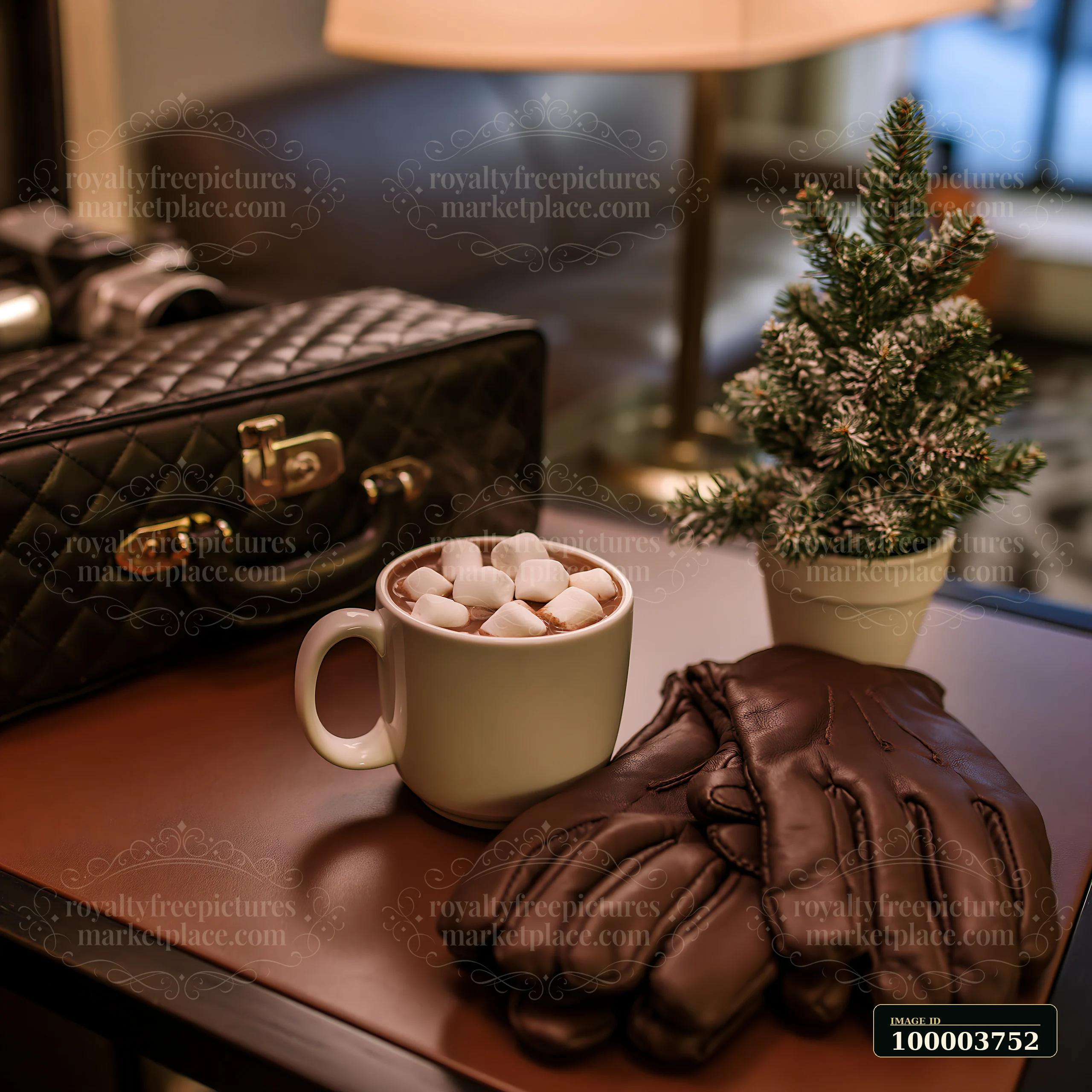 Mug of cocoa topped with marshmallows beside a small potted evergreen, leather gloves, and a bag on a table.