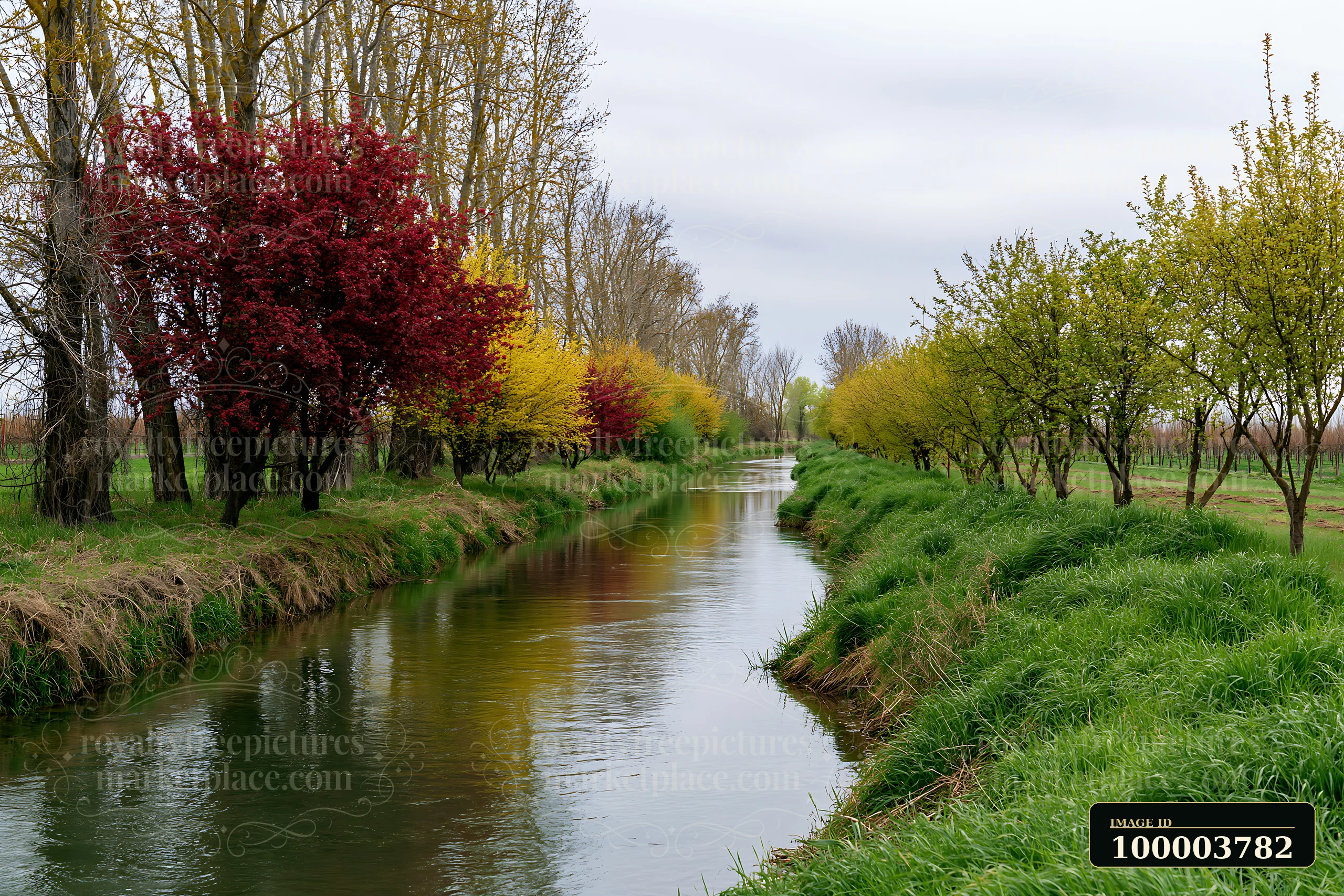Colorful spring trees line a rural stream beside grassy banks and cultivated fields under an overcast sky.