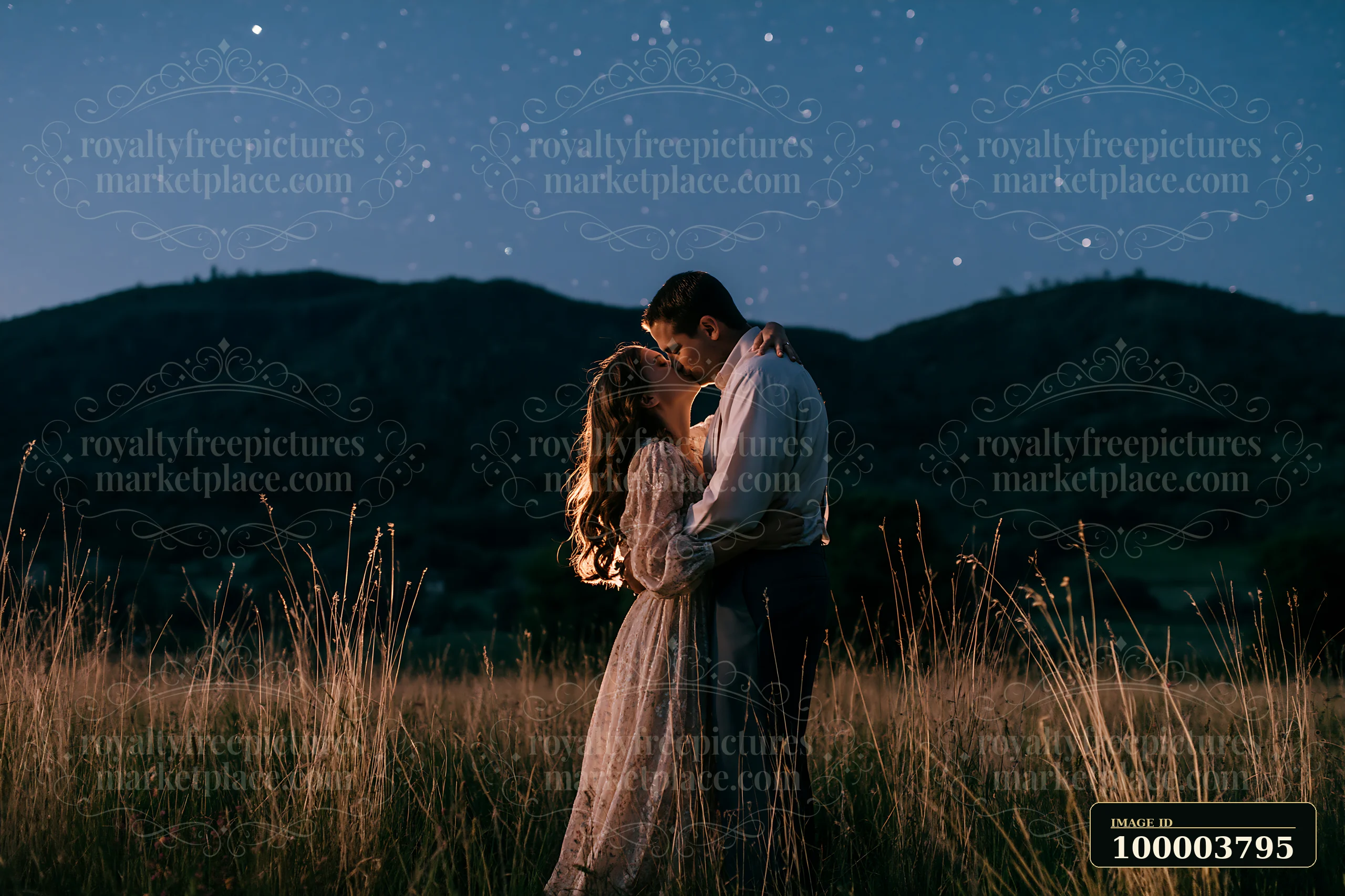 A couple stands in a field, embracing and kissing under a sky filled with stars.