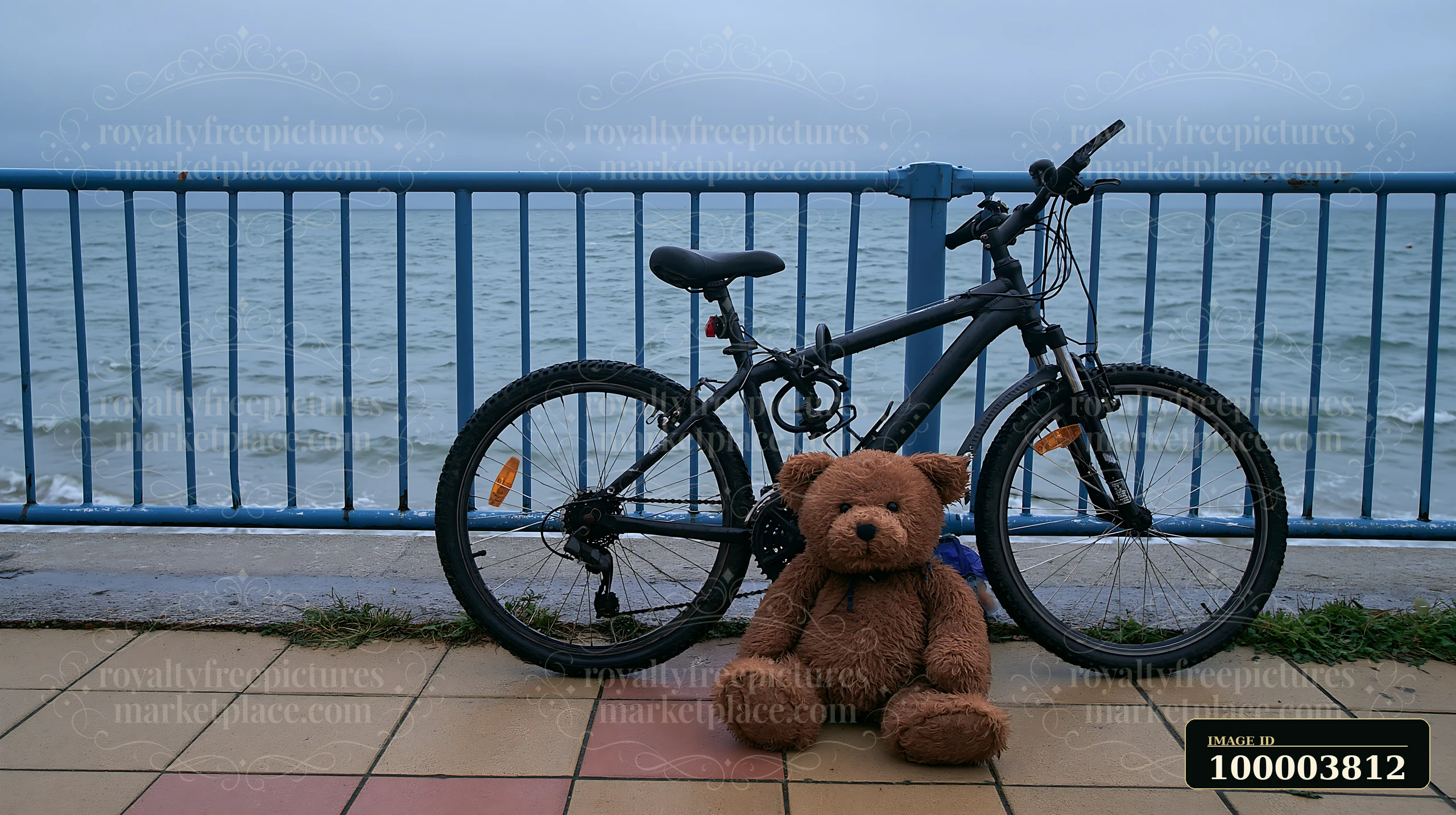 Wet teddy bear sits beside a parked bicycle on a tiled seaside promenade overlooking the ocean.