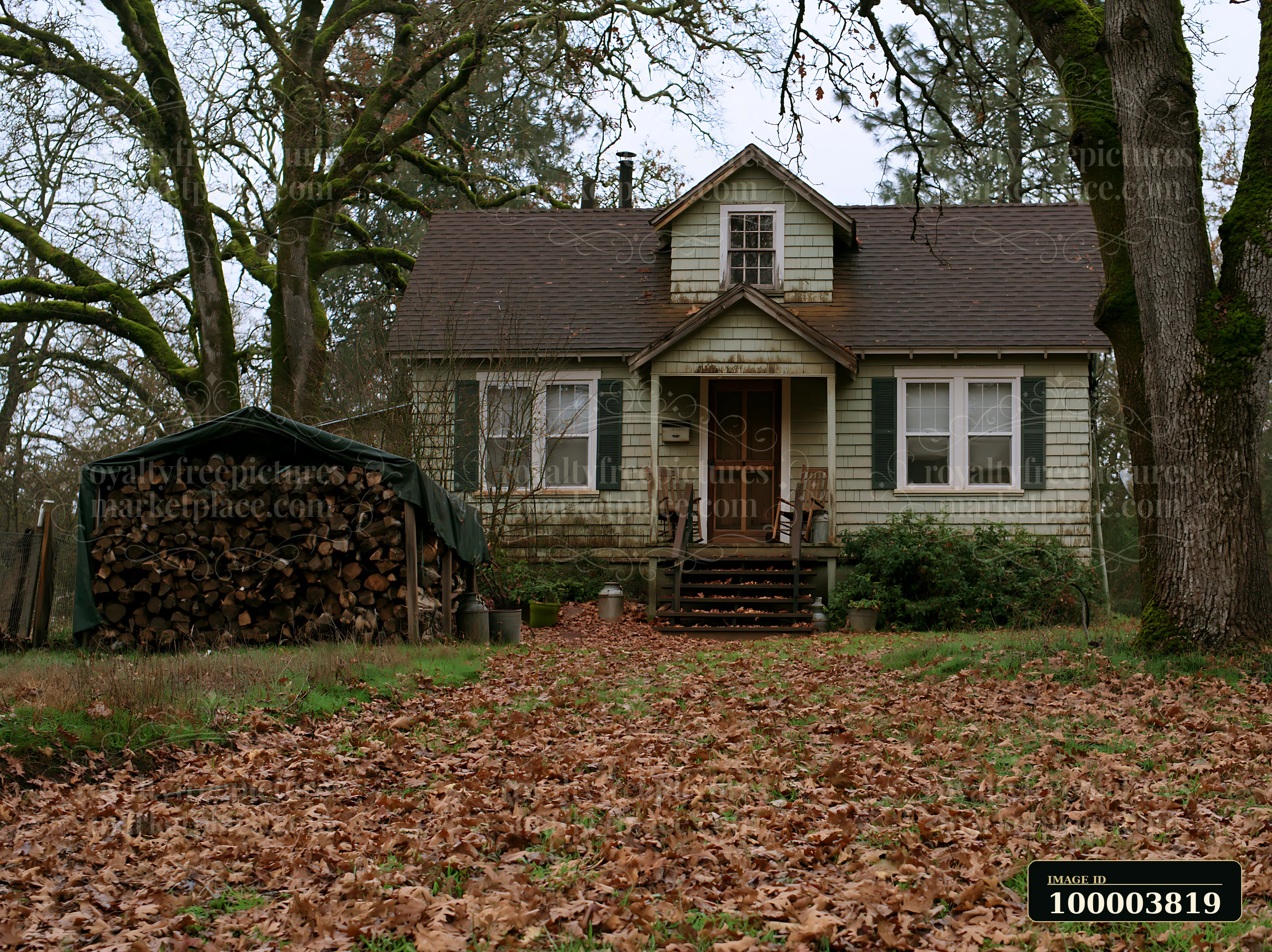 A rural home sits among large oak trees, with a woodpile on the side.
