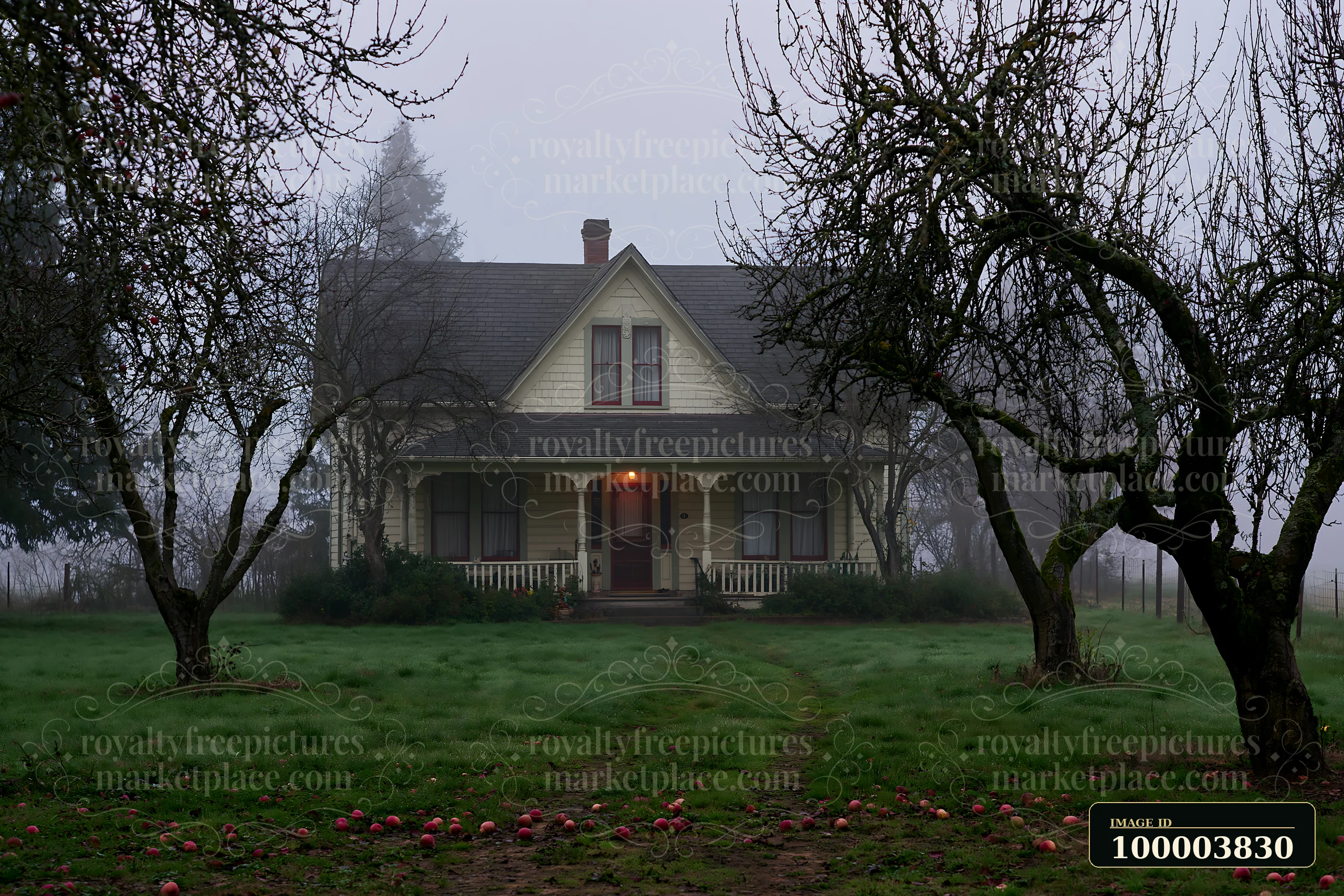 A rural farmhouse stands surrounded by apple trees in the morning fog.