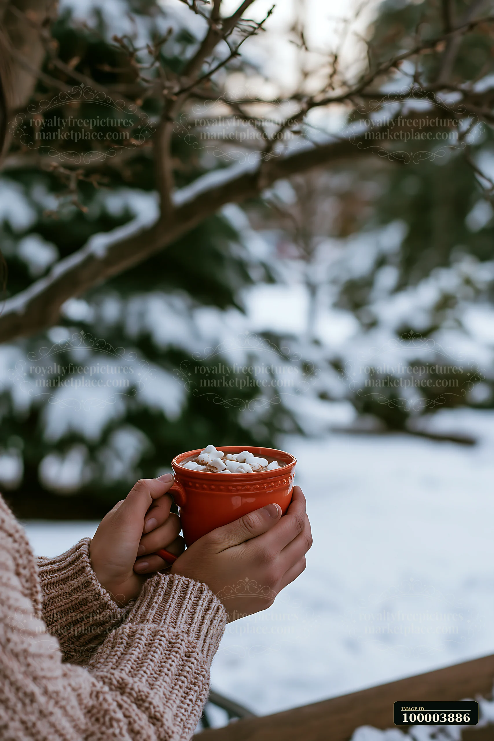 Hands hold a red mug of cocoa topped with marshmallows near snowy tree branches.