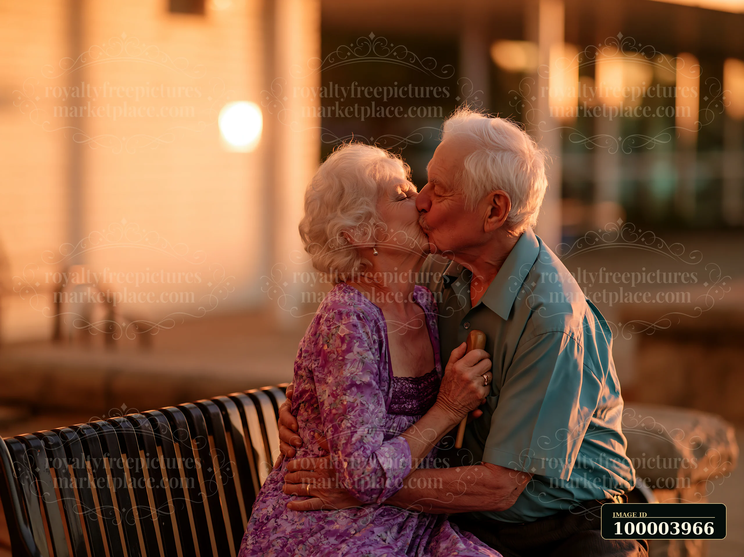 Senior couple kissing and embracing on a bench in warm sunset light with open copy space on the left.