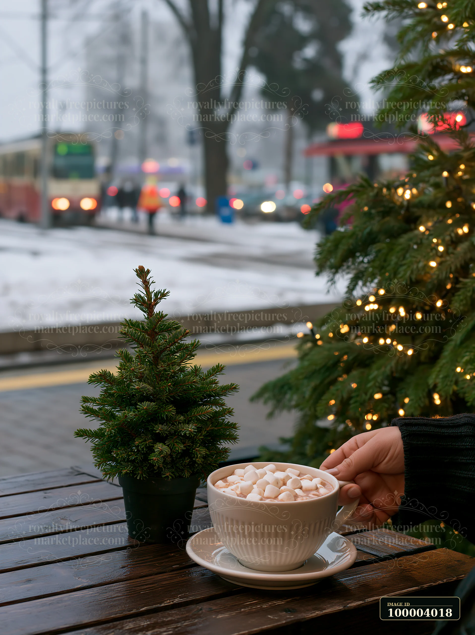 A hand holds a cup of warm cocoa topped with marshmallows on a table next to a small tree.