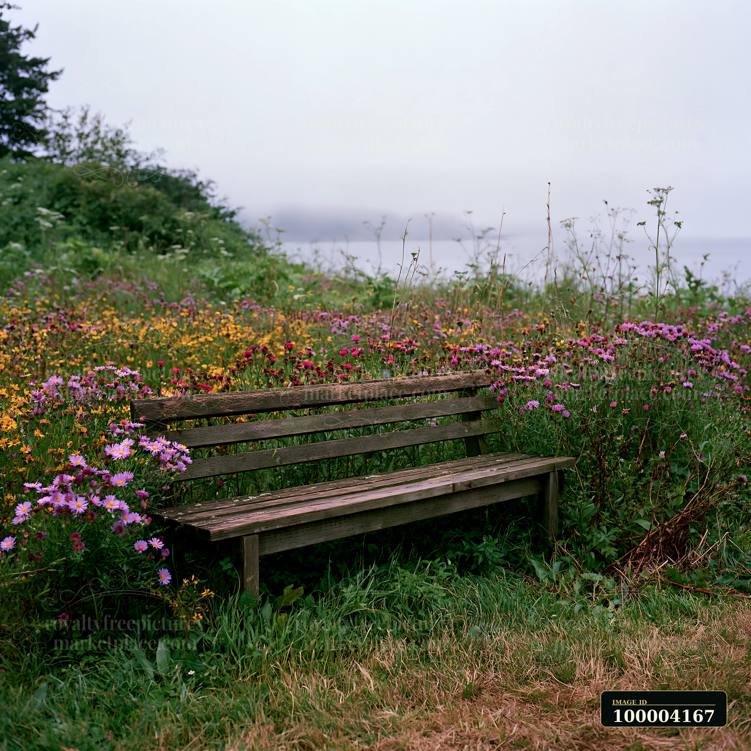 Weathered wooden bench surrounded by colorful wildflowers with a misty shoreline in the background.