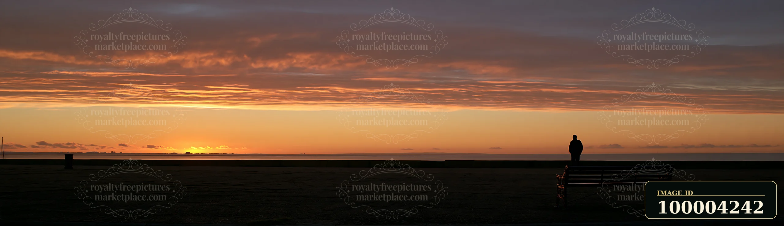 A person stands in silhouette beside a memorial bench as the sun sets over the horizon.