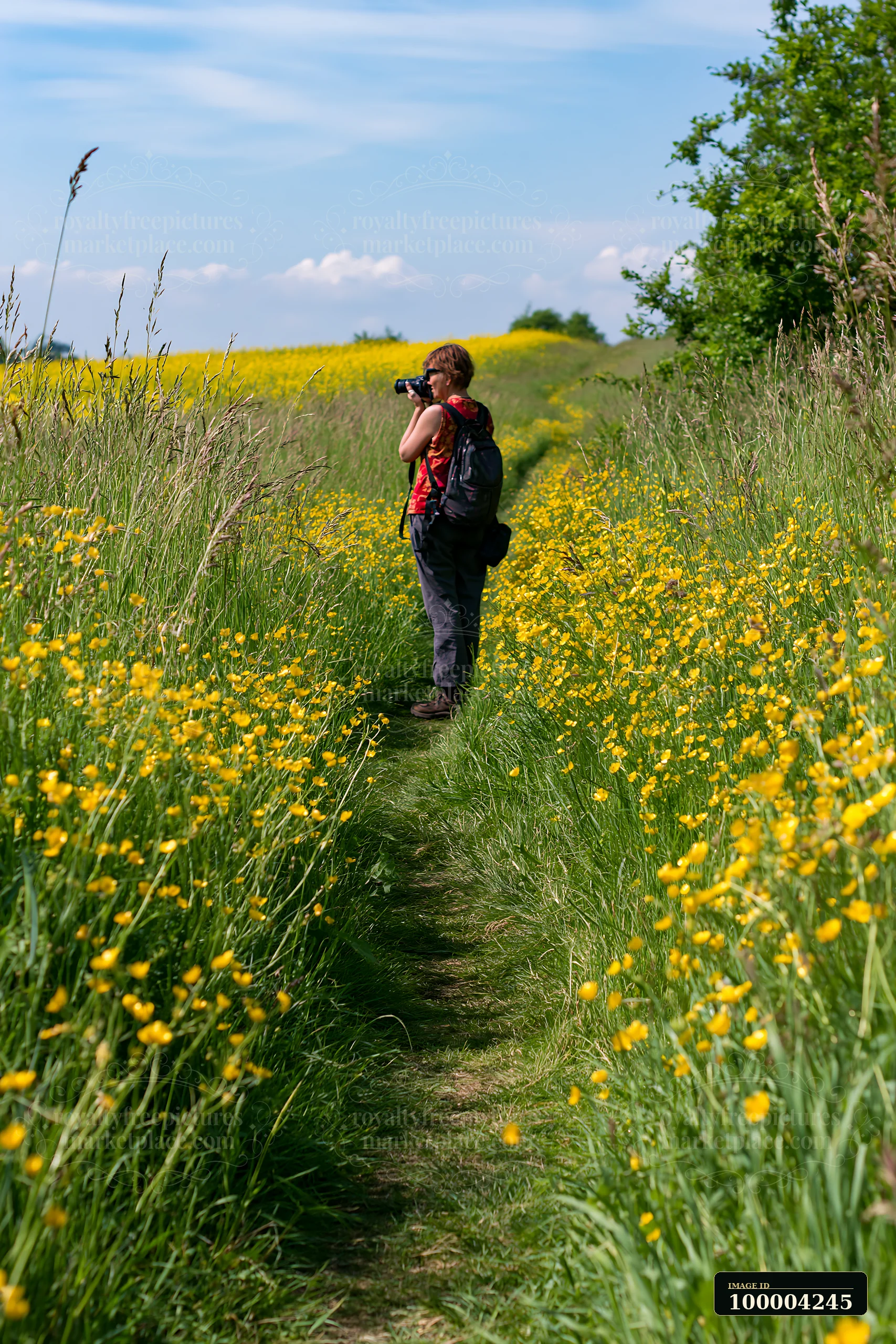 A woman stands on a narrow path surrounded by tall grass and yellow flowers, focused on taking photos in a sunny meadow beside a rural path for countryside tour