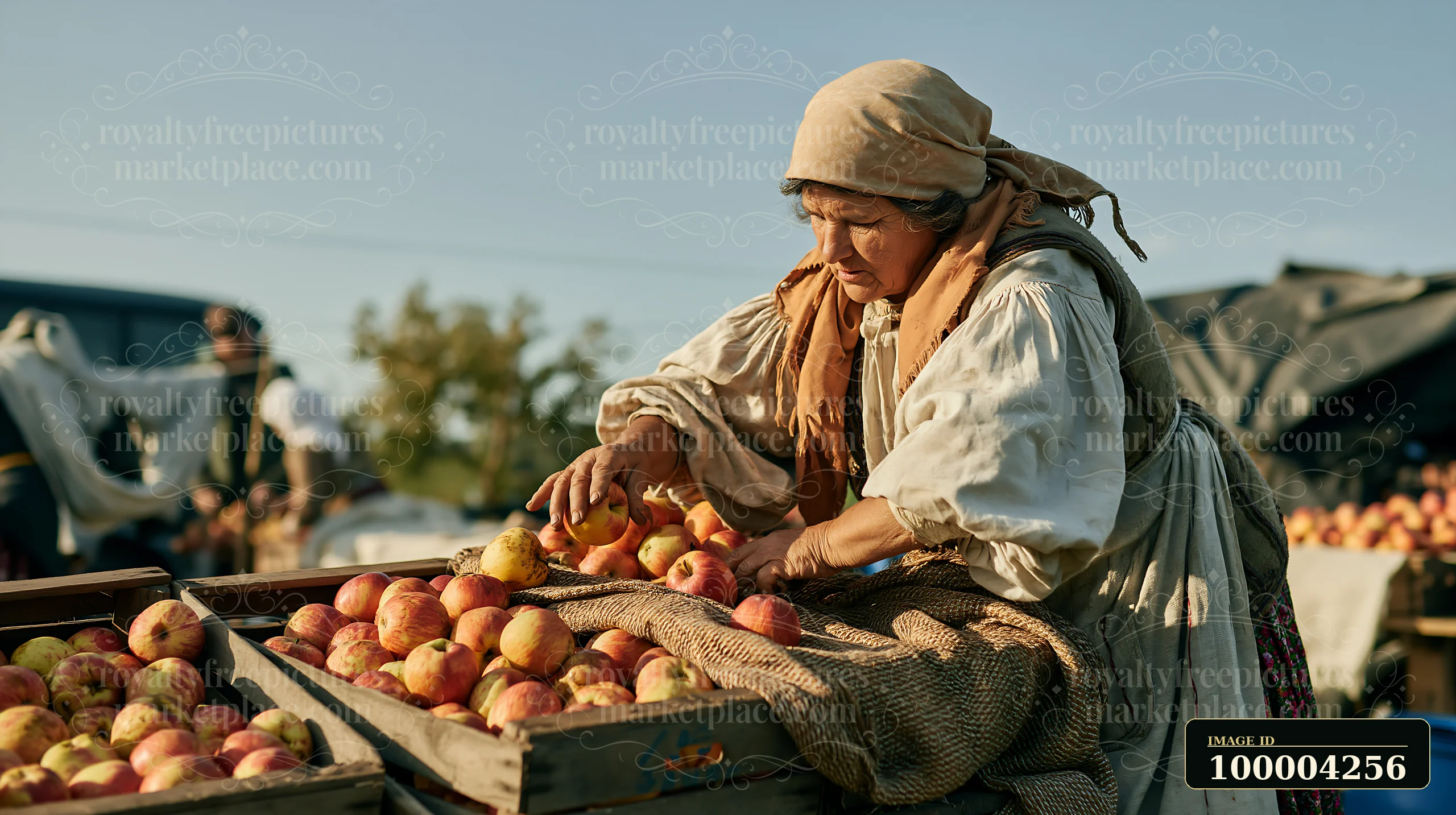 A woman is arranging apples in wooden crates at an outdoor market.