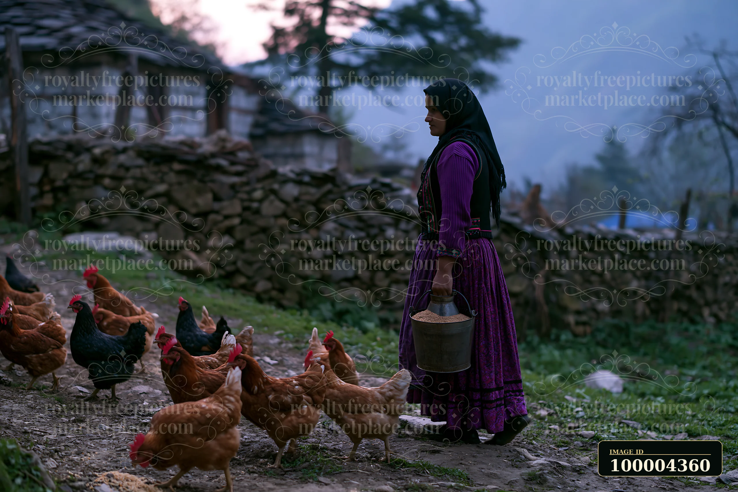 Woman in traditional attire holds a grain bucket while chickens gather on a rural farm beside a stone house.