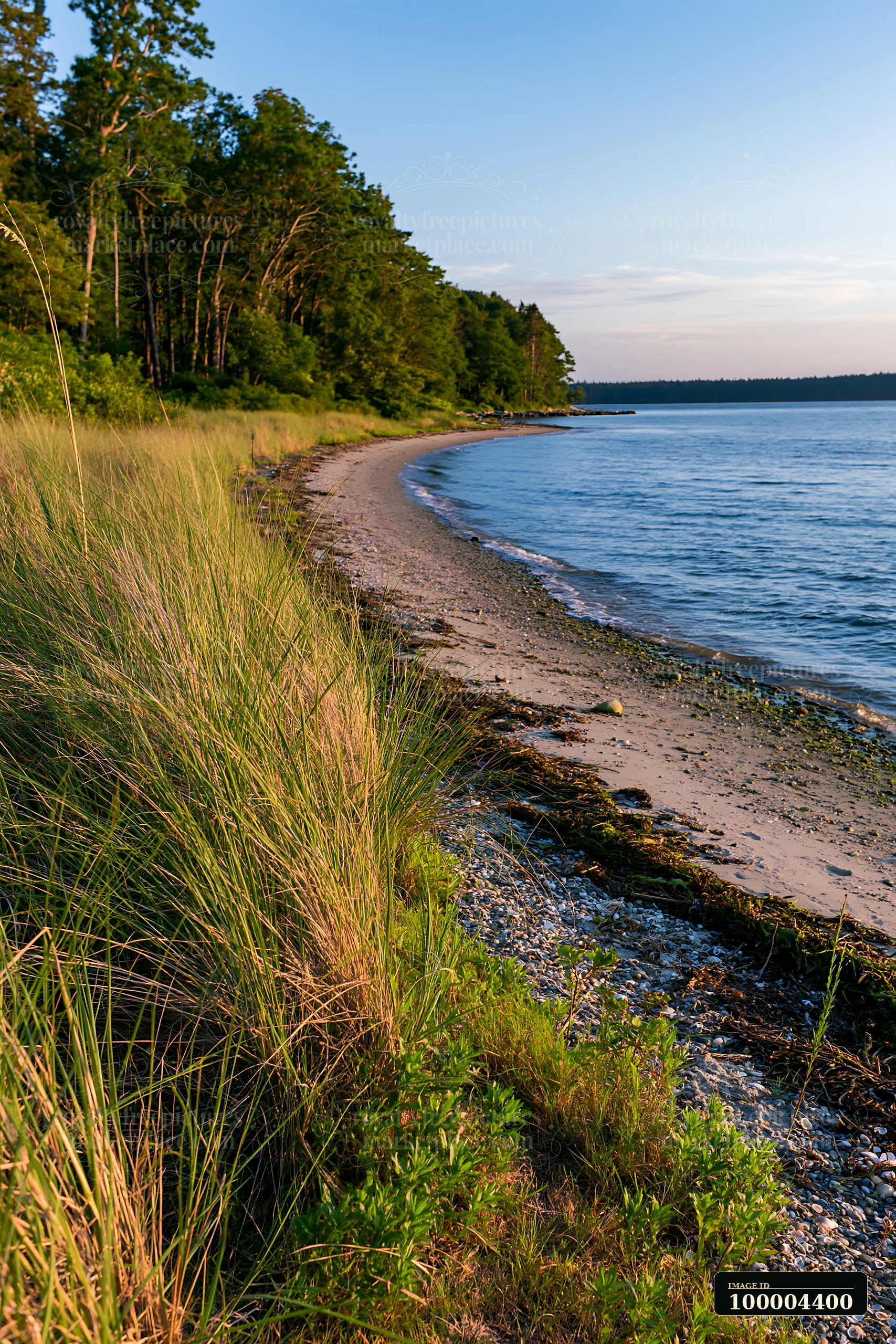 Grassy meadow beside a rocky shoreline curving along calm blue water and a forested coast.