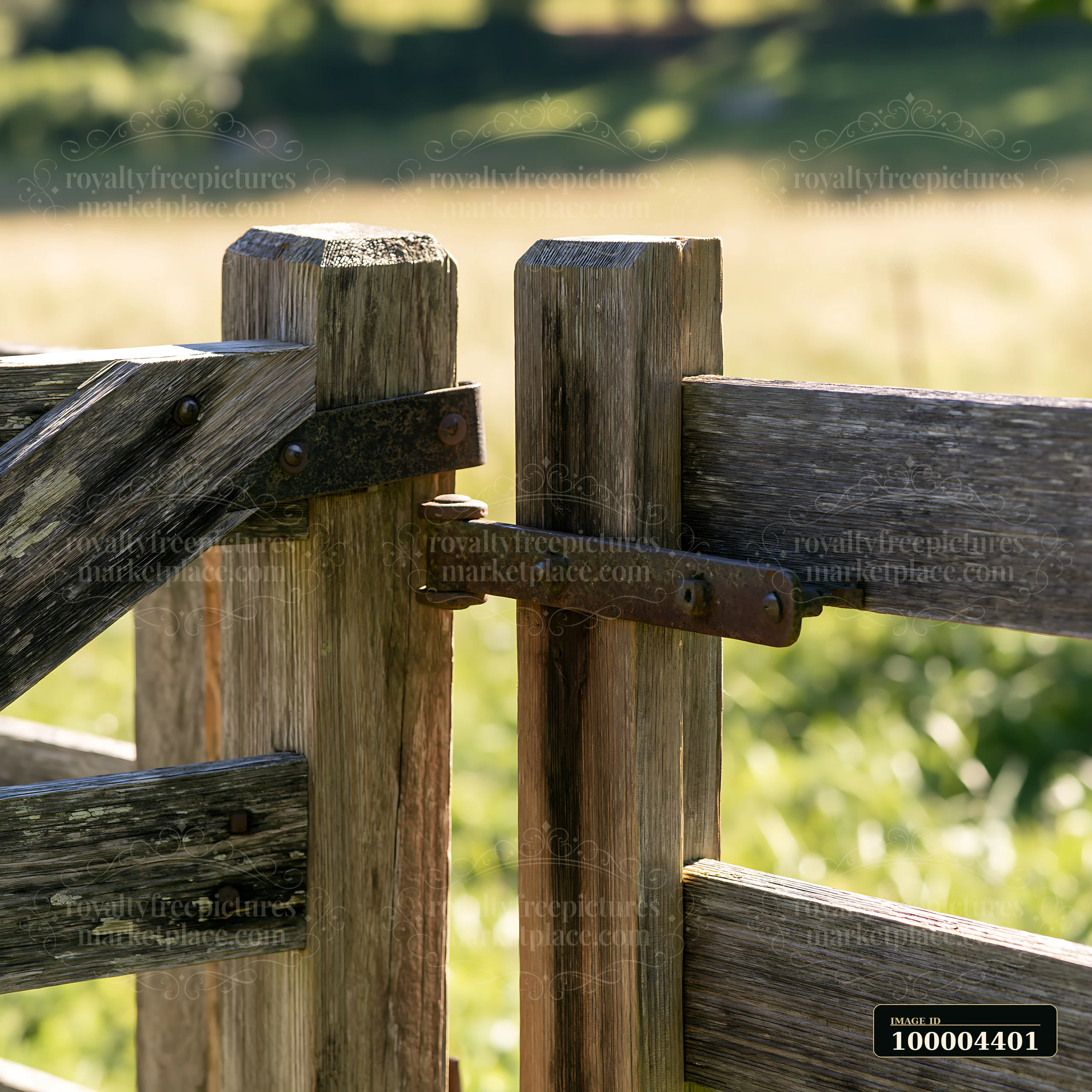 Weathered wooden fence gate with metal hinges in front of a softly blurred sunny meadow.