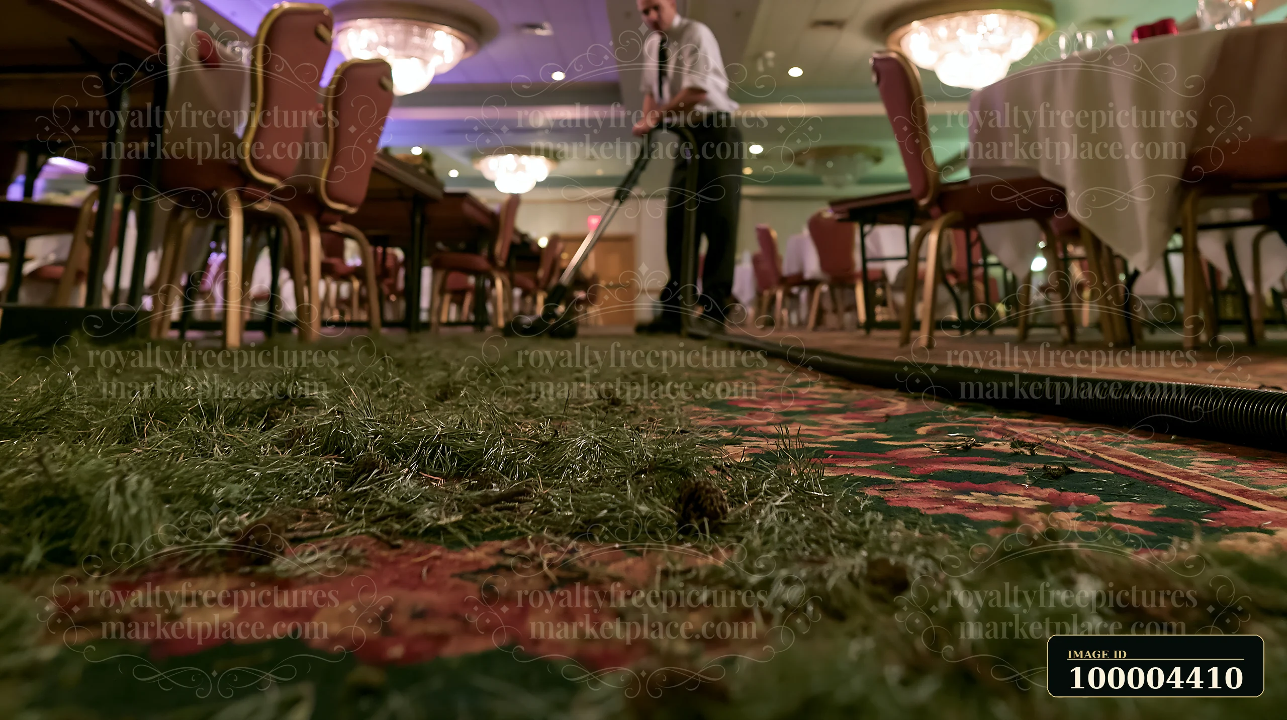 A person cleans the floor with a vacuum, removing pine needles and debris after a Christmas party in a decorated event hall with tables and chairs.