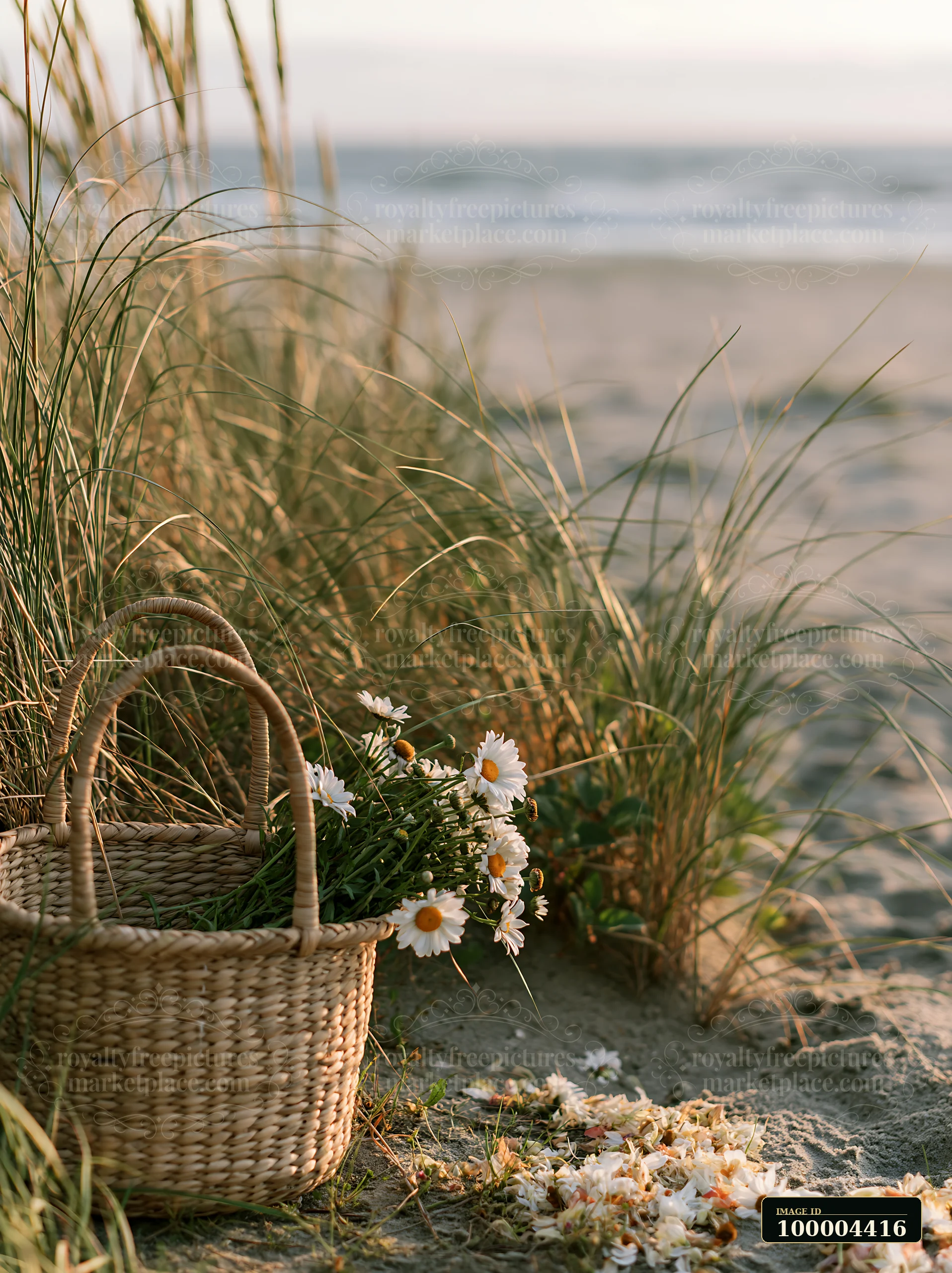 Wicker basket filled with white daisies rests among beach grass on a sandy shore beside calm water.