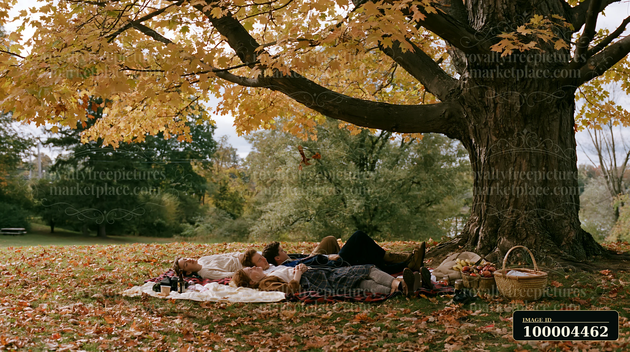 Four family members rest on blankets beneath a large tree in an autumn park with picnic baskets.