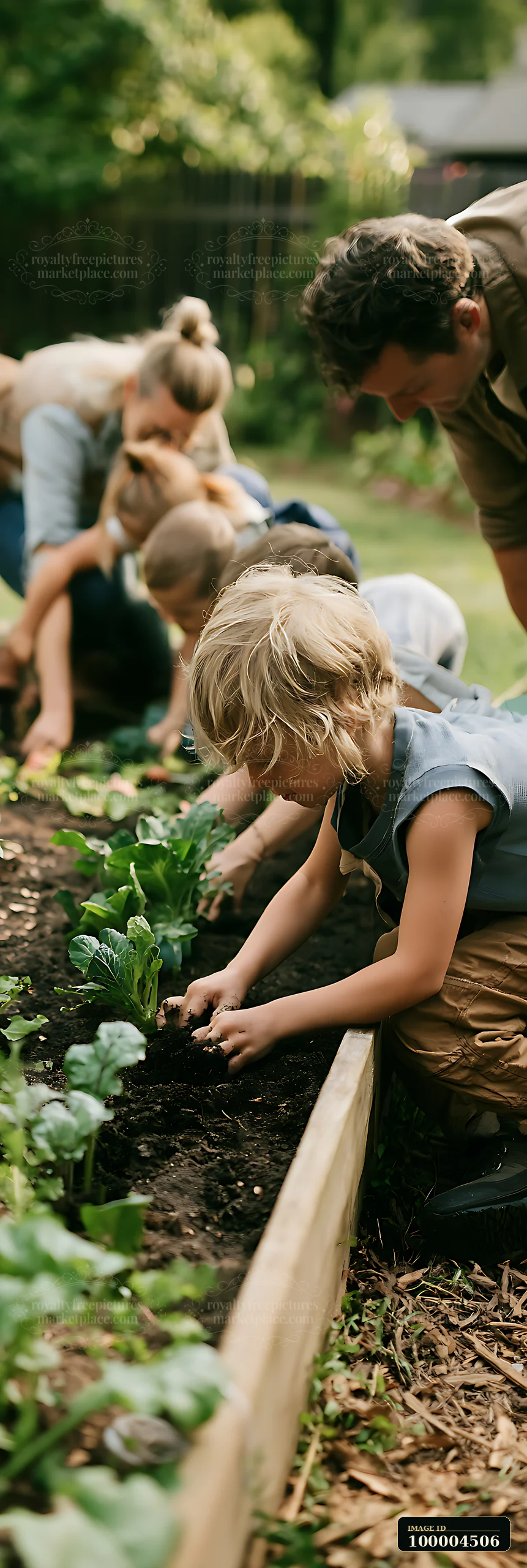 A family is planting vegetables in their backyard garden.
