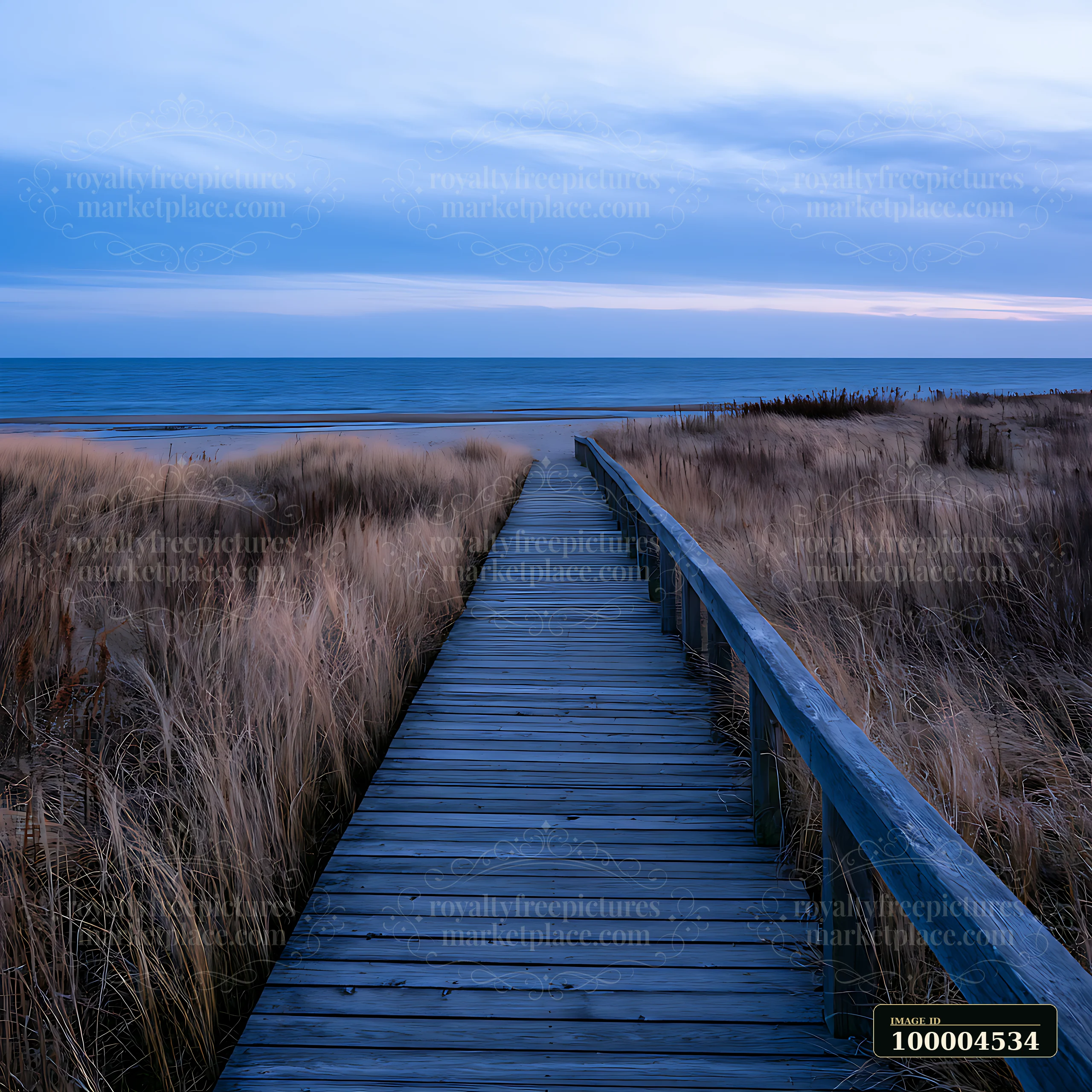 A wooden pathway stretches through tall grass, leading towards the ocean horizon under a cloudy sky.