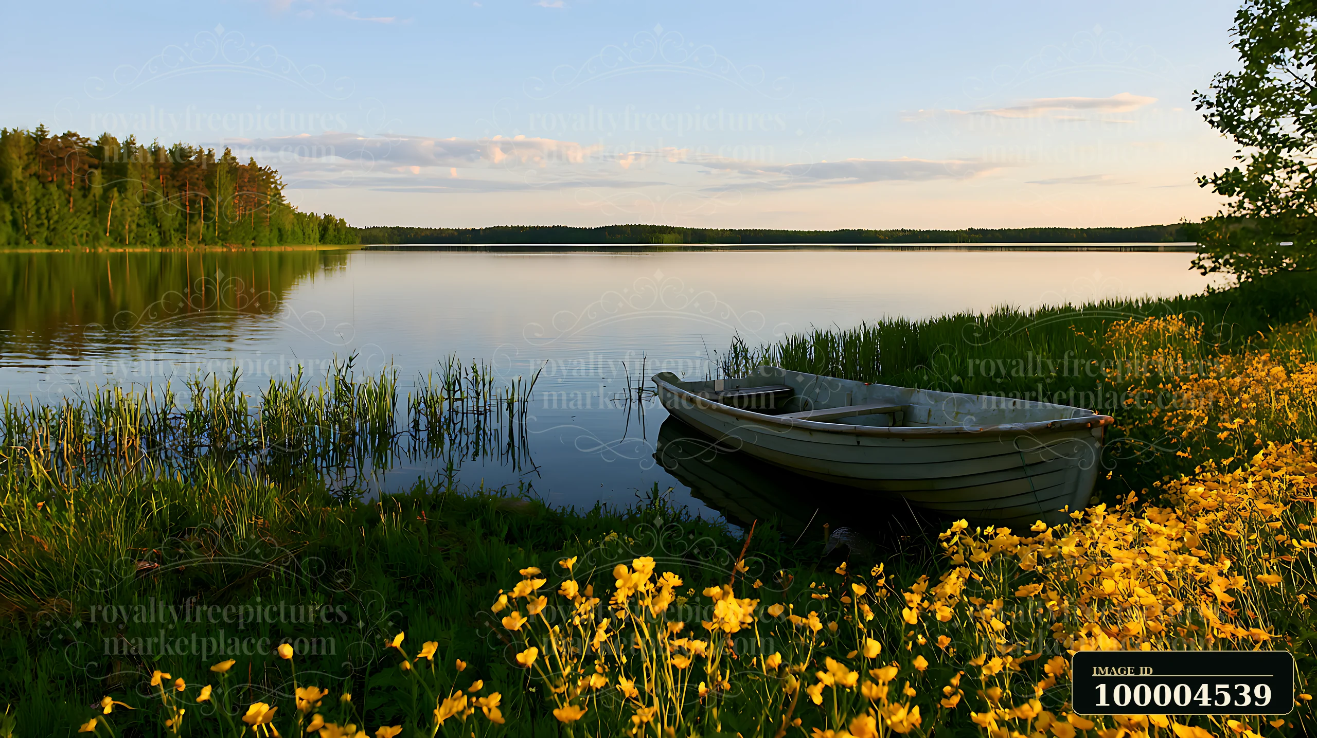 Yellow meadow flowers and a rowboat frame a calm pond beside a forest at golden hour.