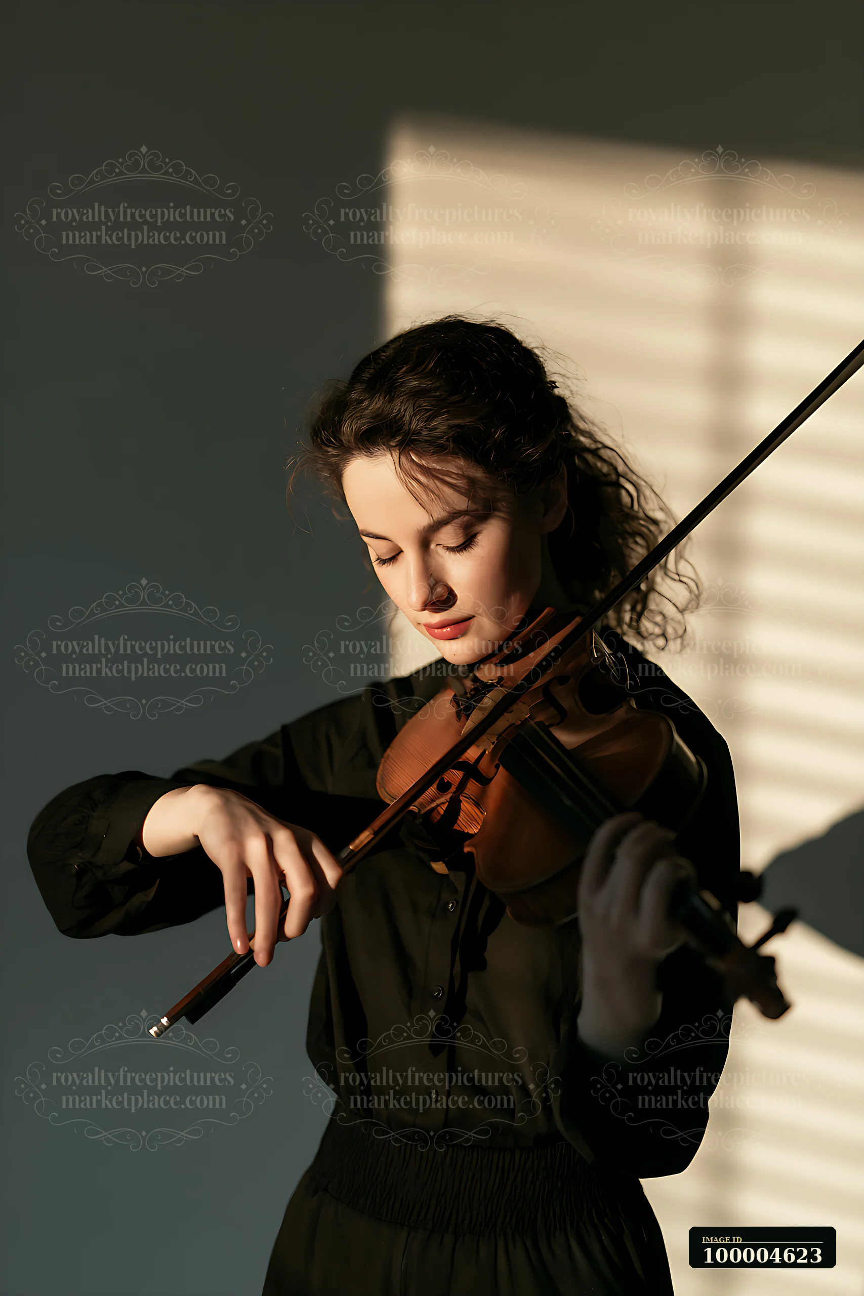 A musician plays the violin in a room lit by sunlight, creating shadows that fall on the wall.
