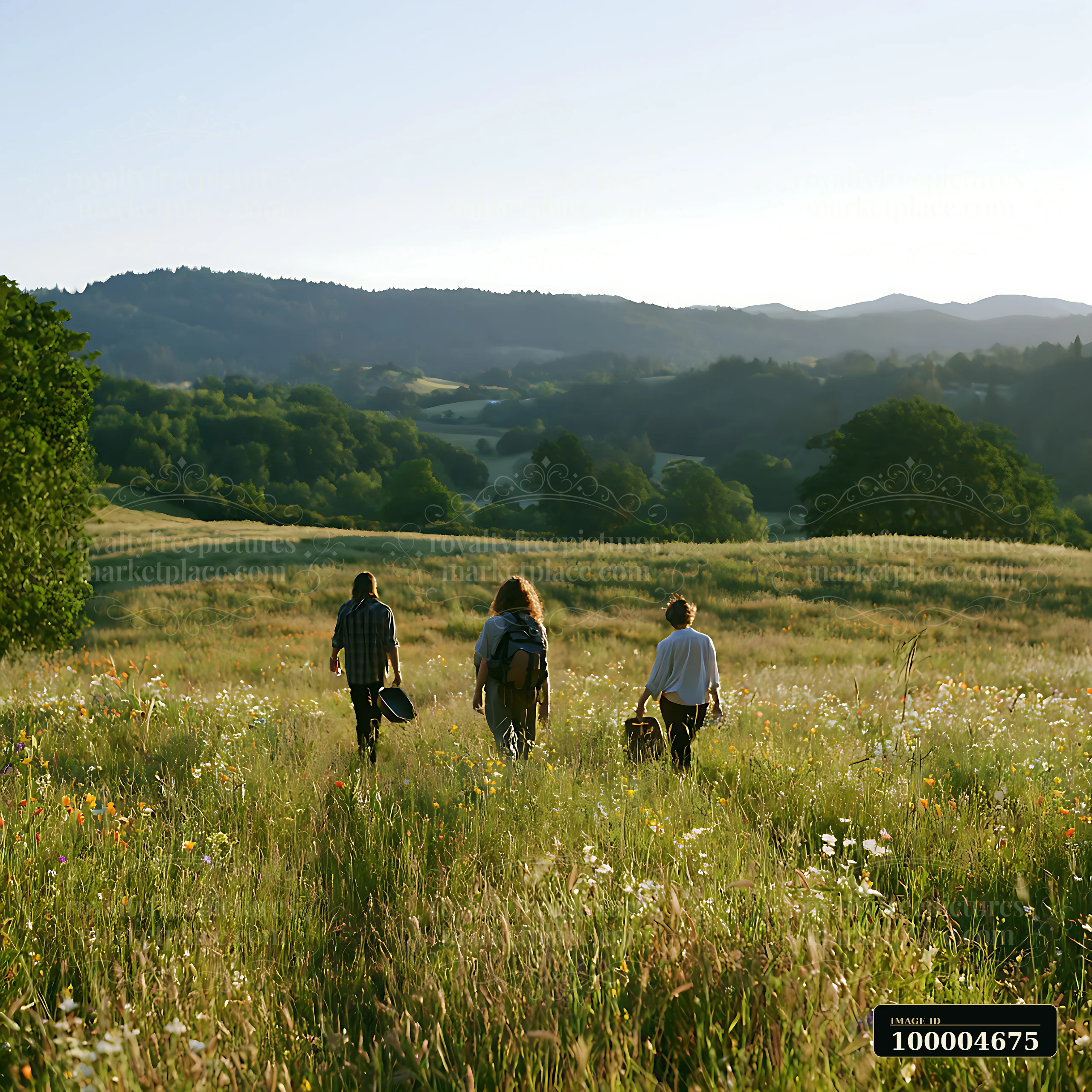 Three people walk through a wildflower meadow with a clear horizon.